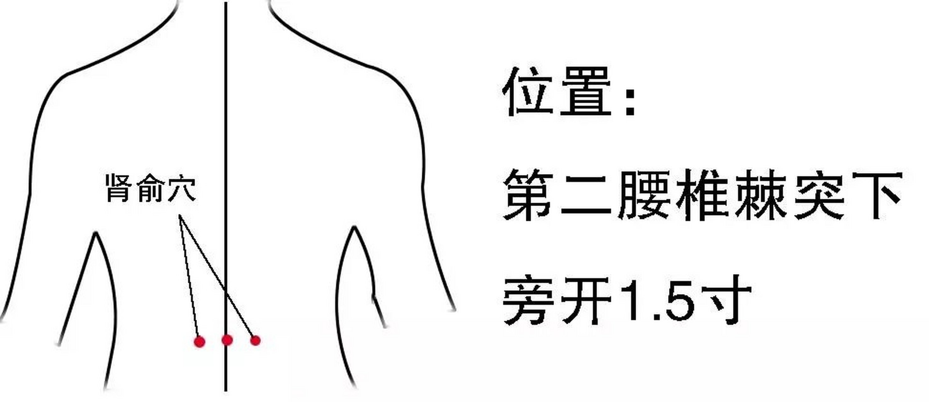 巧取肾俞穴 肾俞穴在腰背部,第2腰椎棘突下,旁开1.5寸处.