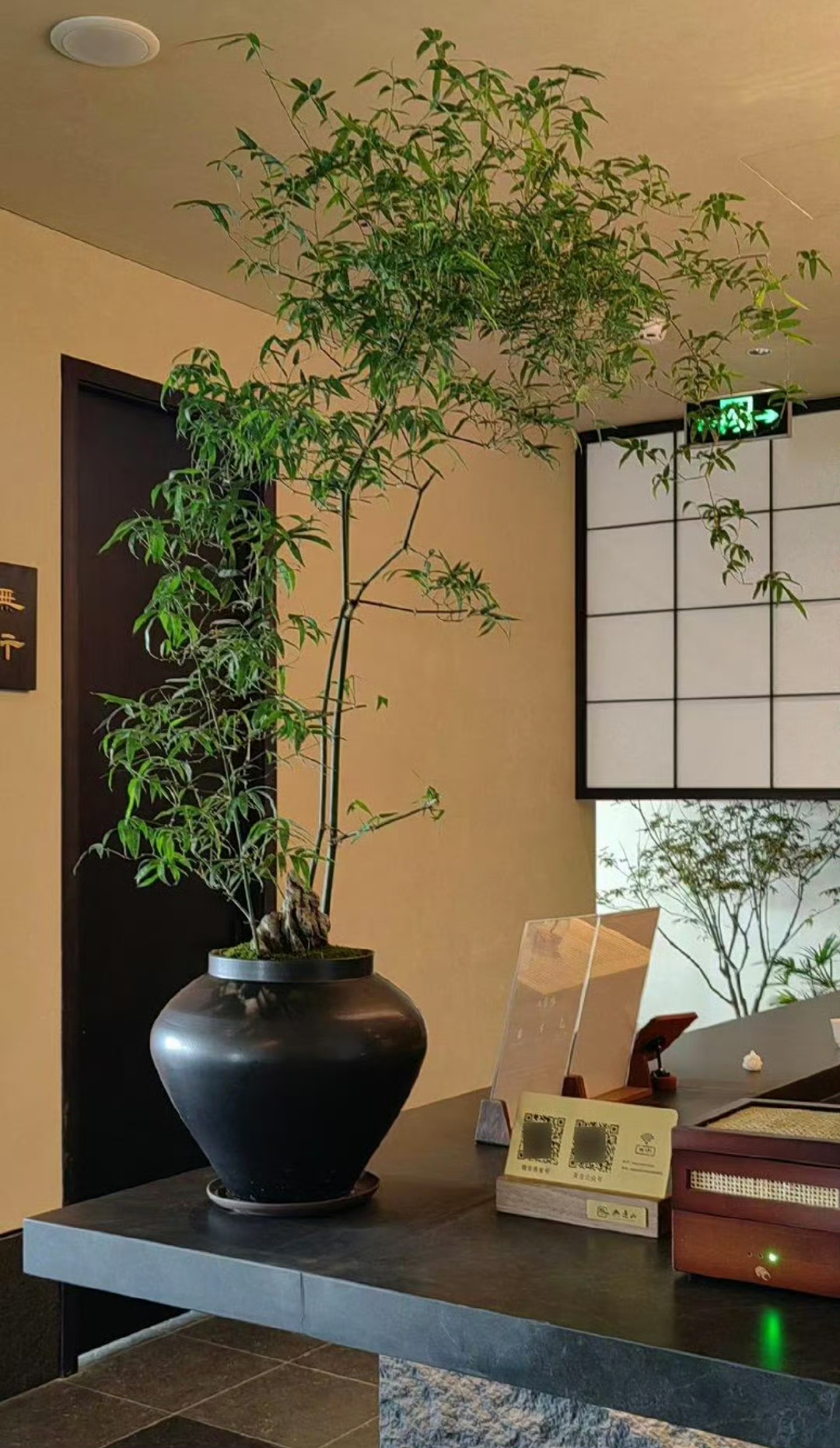 霜落枫林叶醉,风摇芦荻雁飞