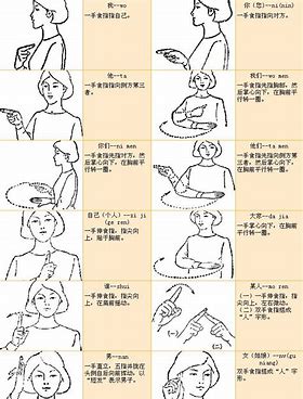 每天认识一个大学专业——手语翻译  大家好,今天我要给大家介绍一个