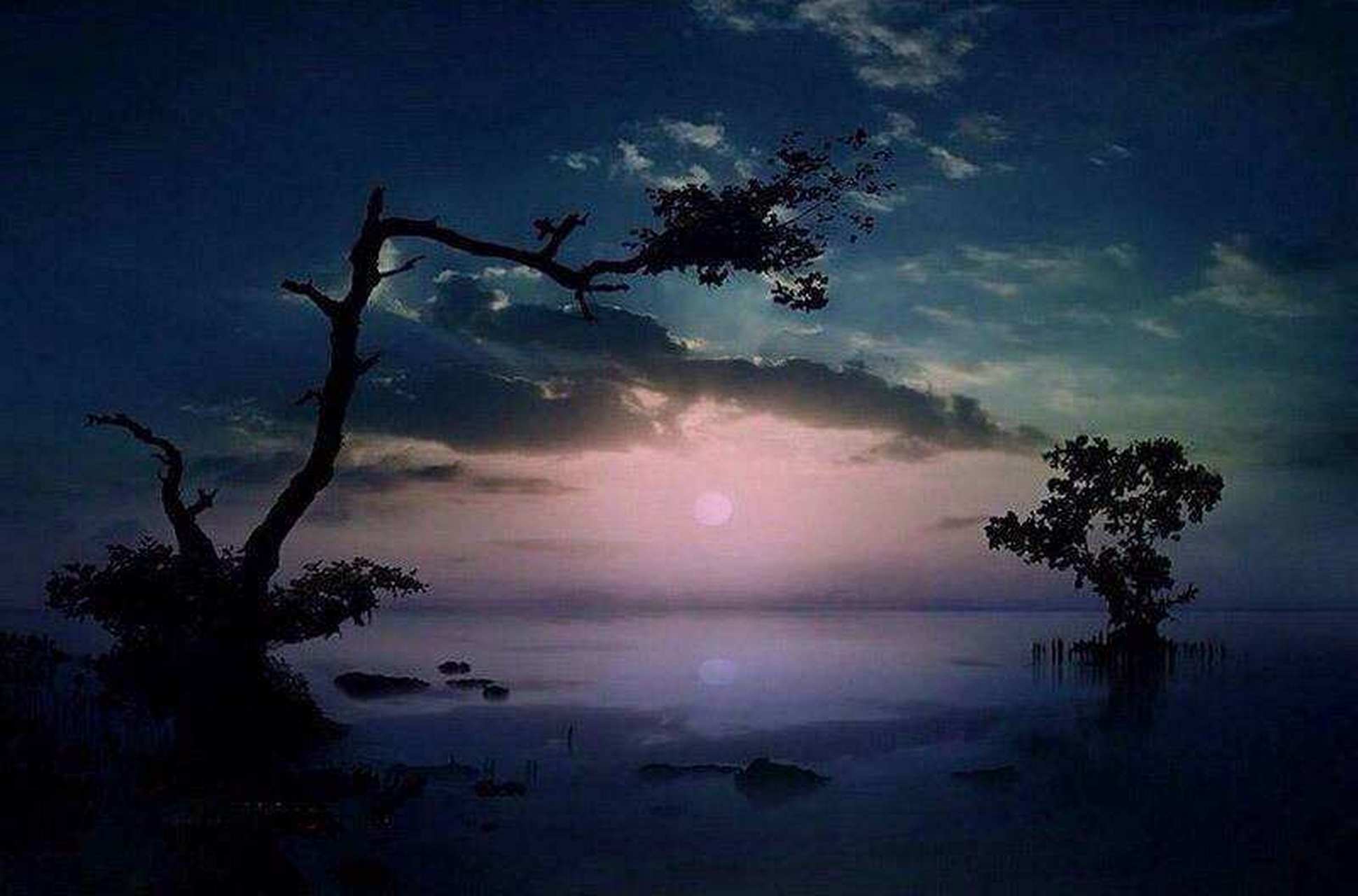 野旷天低树,江清月近人.