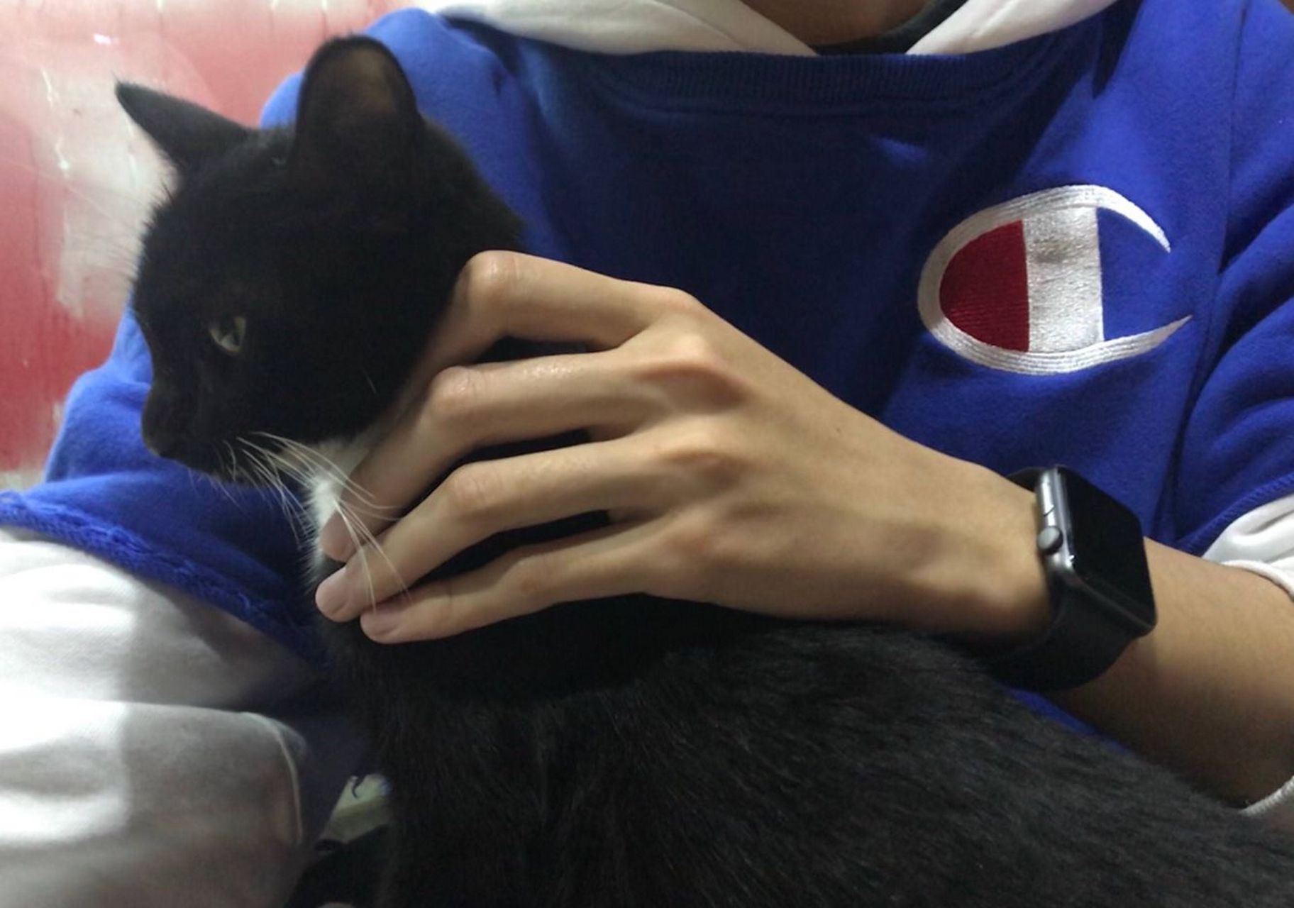 我是个手控,吼吼,骨骼分明的手什么的也太可了叭