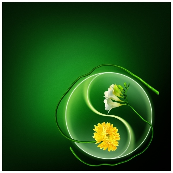 太极图在转圈,释迦摩尼佛的核心理论因缘果在转圈