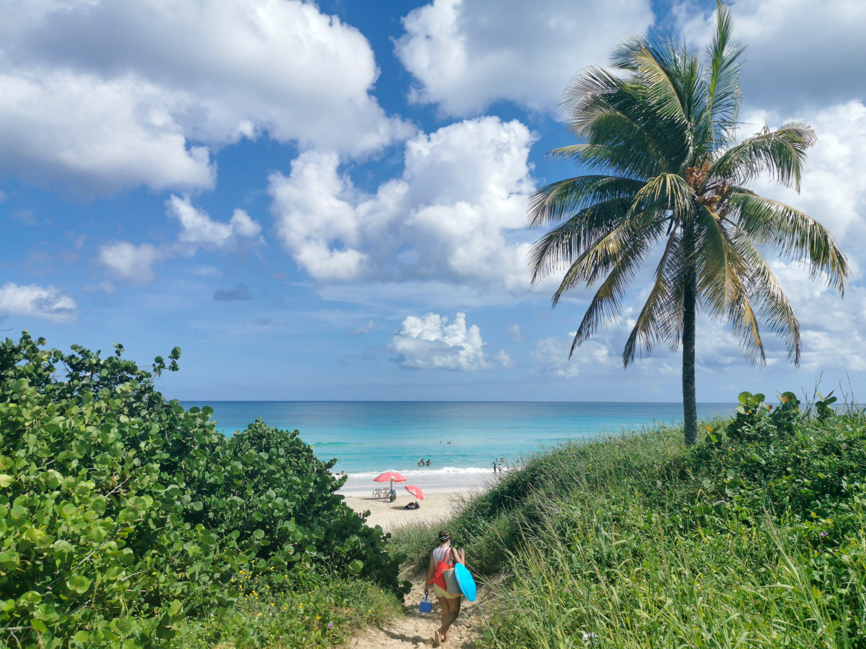 你好,哈瓦那的浪漫海滩 #古巴宣布对中国公民免签# #哈瓦那# #海边