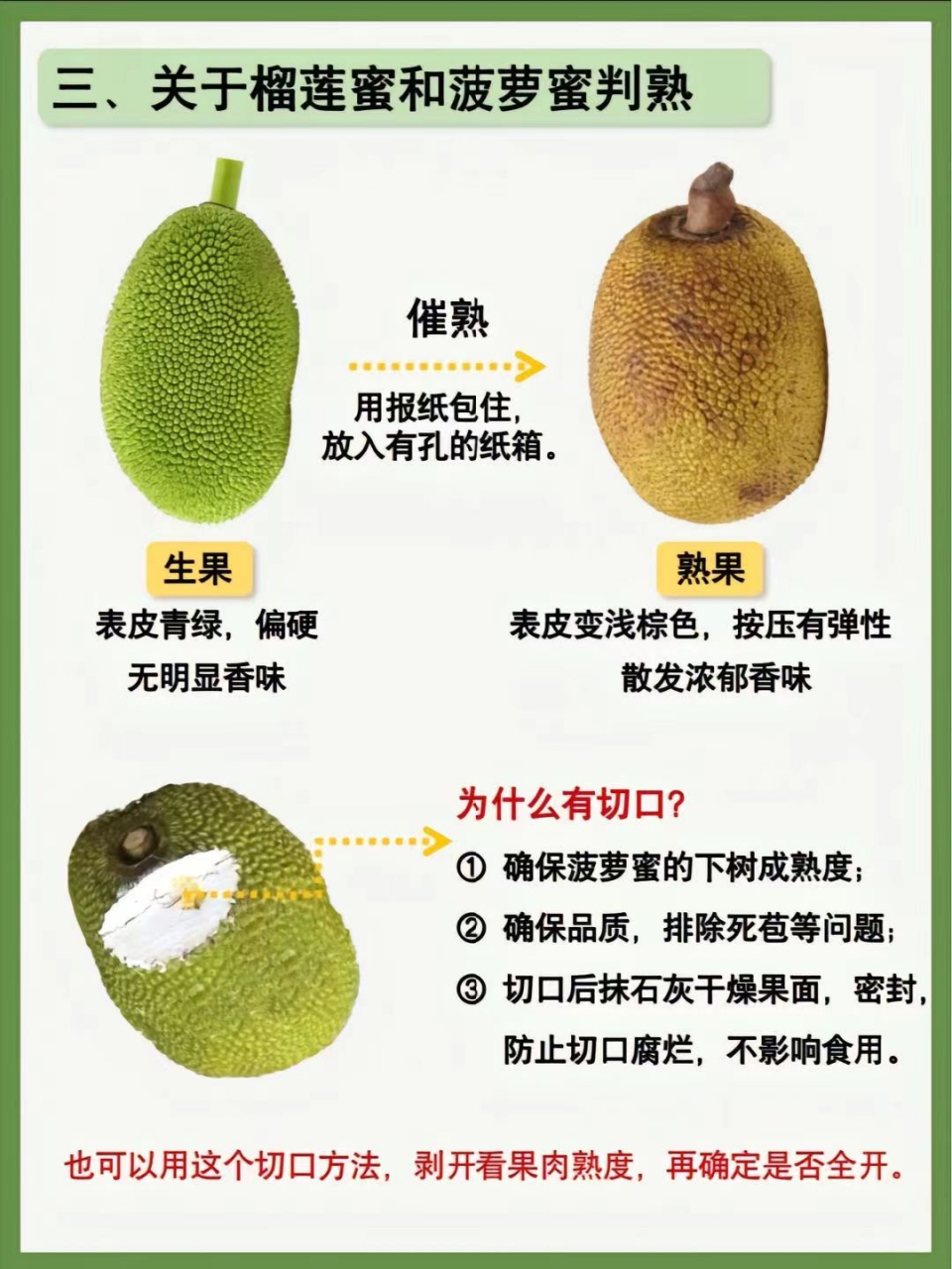 菠萝菠萝蜜和菠萝蜜的区别=菠萝菠萝蜜和菠萝蜜的区别黄色大片