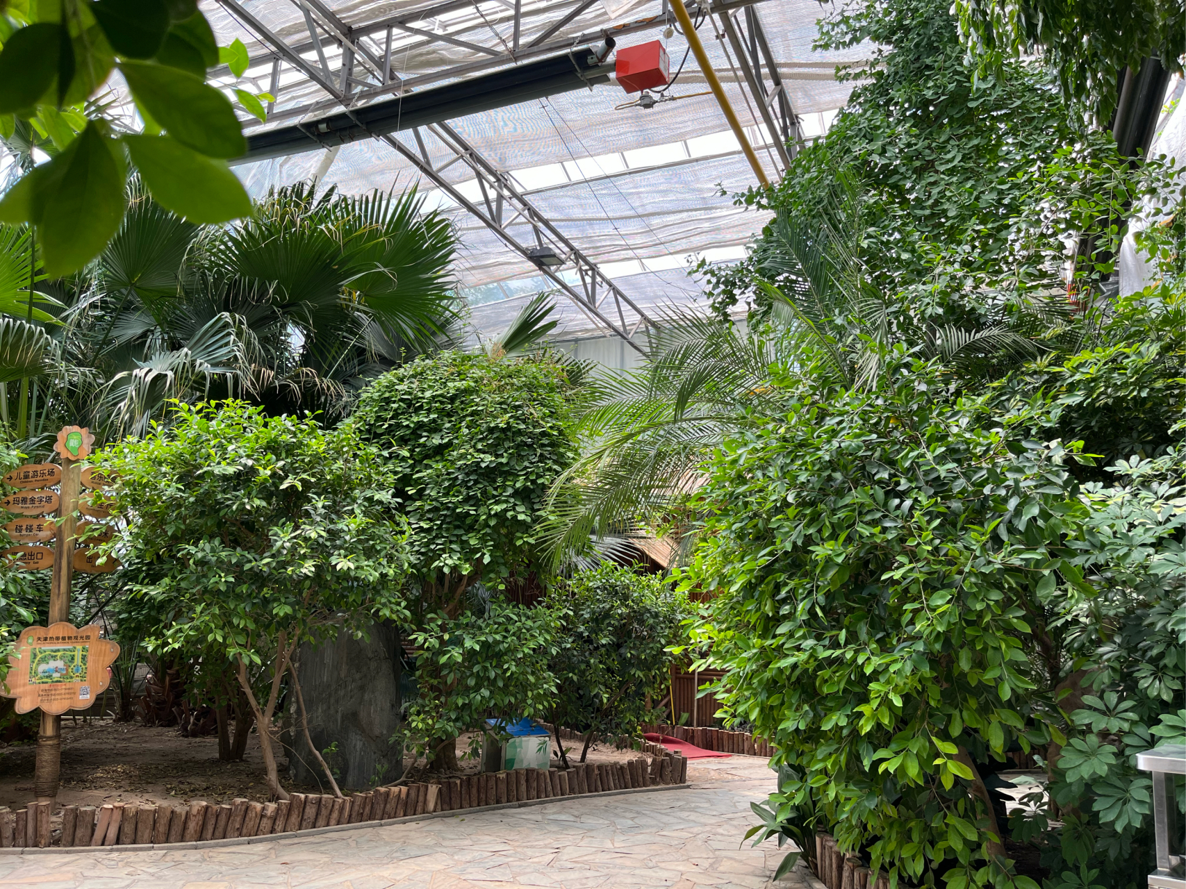 天津热带植物园(二)