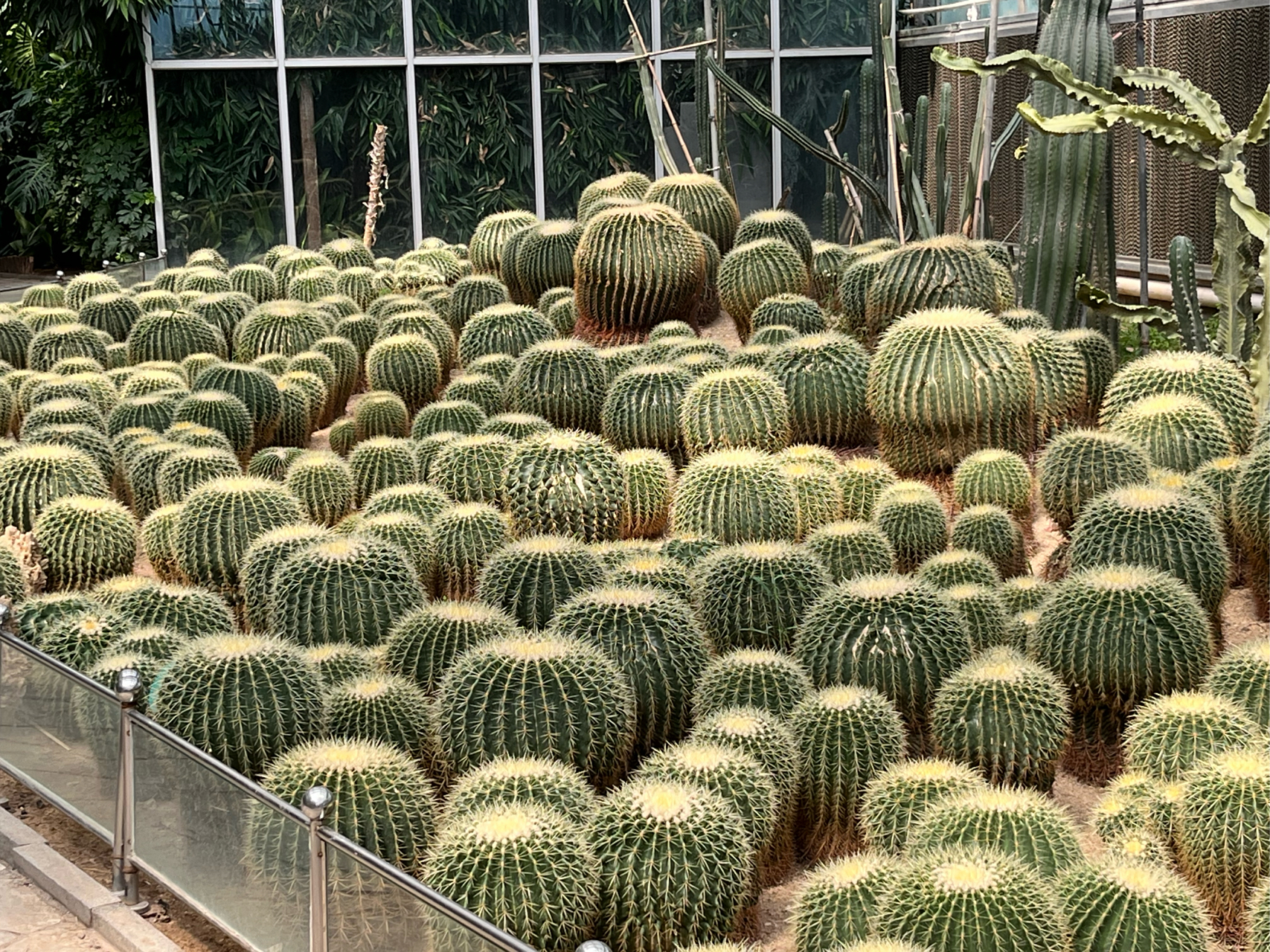 天津热带植物园(五)