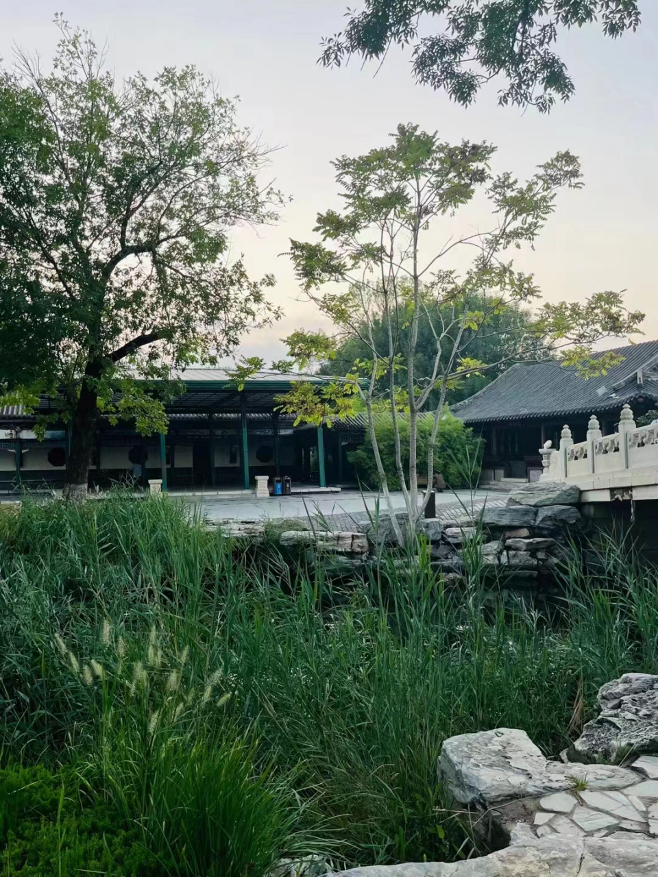 天津北宁公园小景!