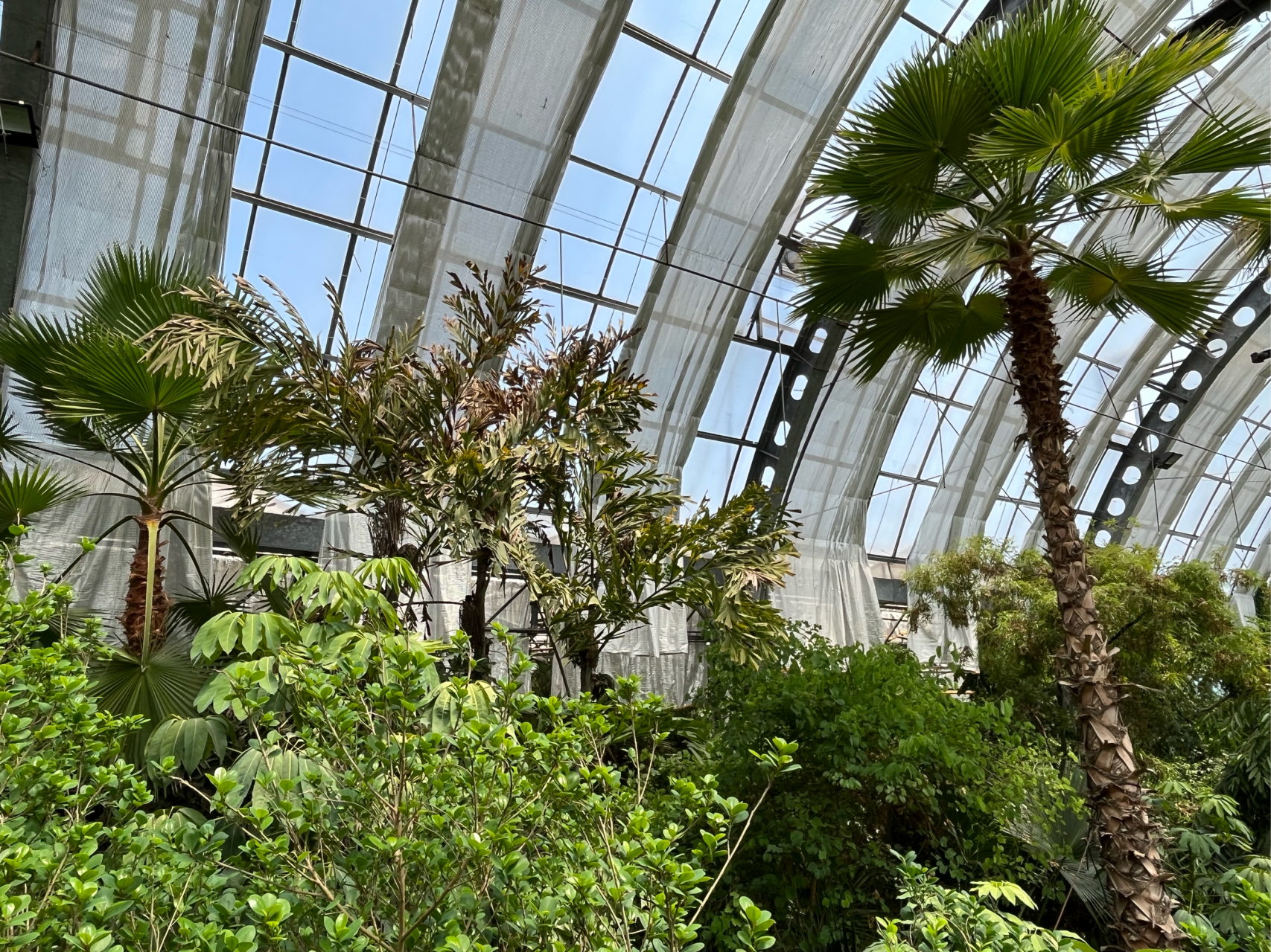 天津热带植物园(三)