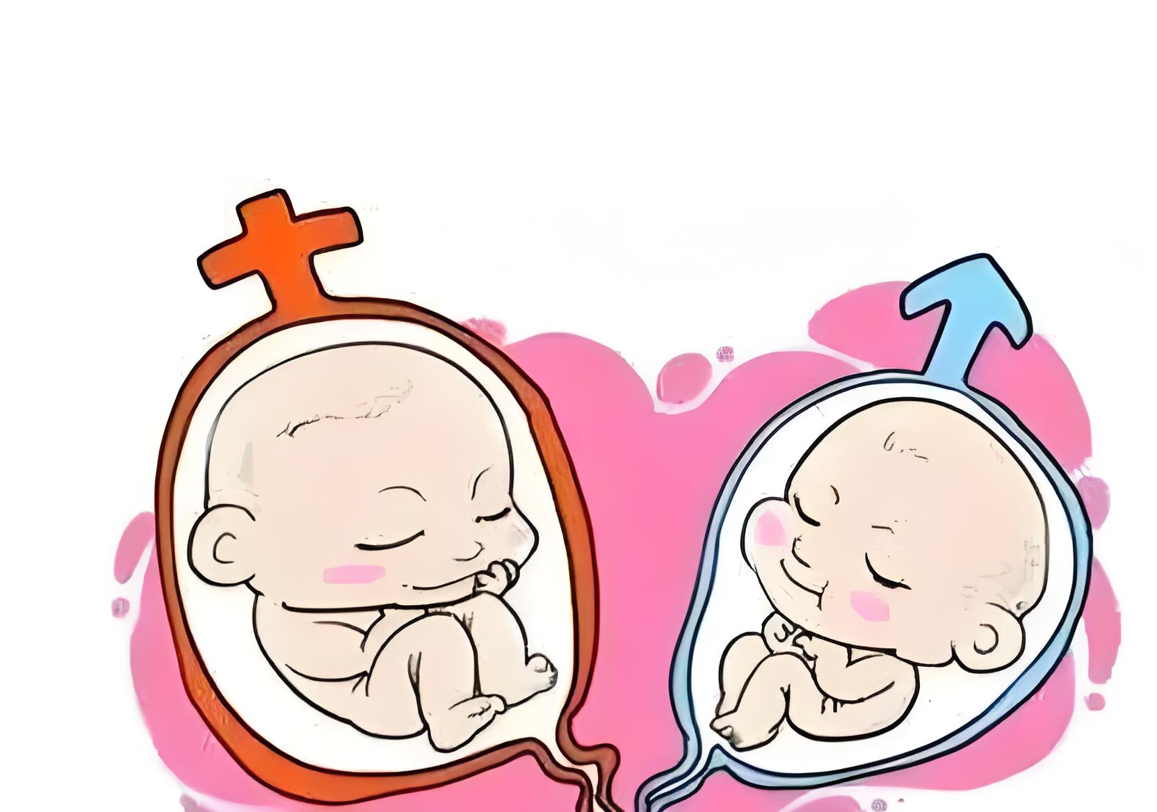 道长,你可以在胎儿出生前改其性别吗?