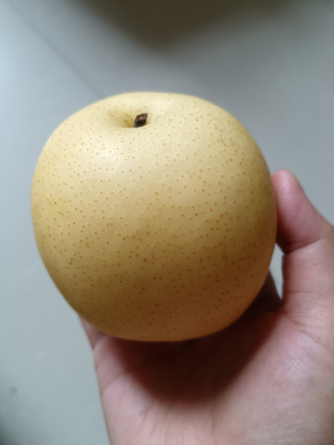 想念它满树梨花开的样子.想念被狂风暴雨打掉在黄土上的梨子