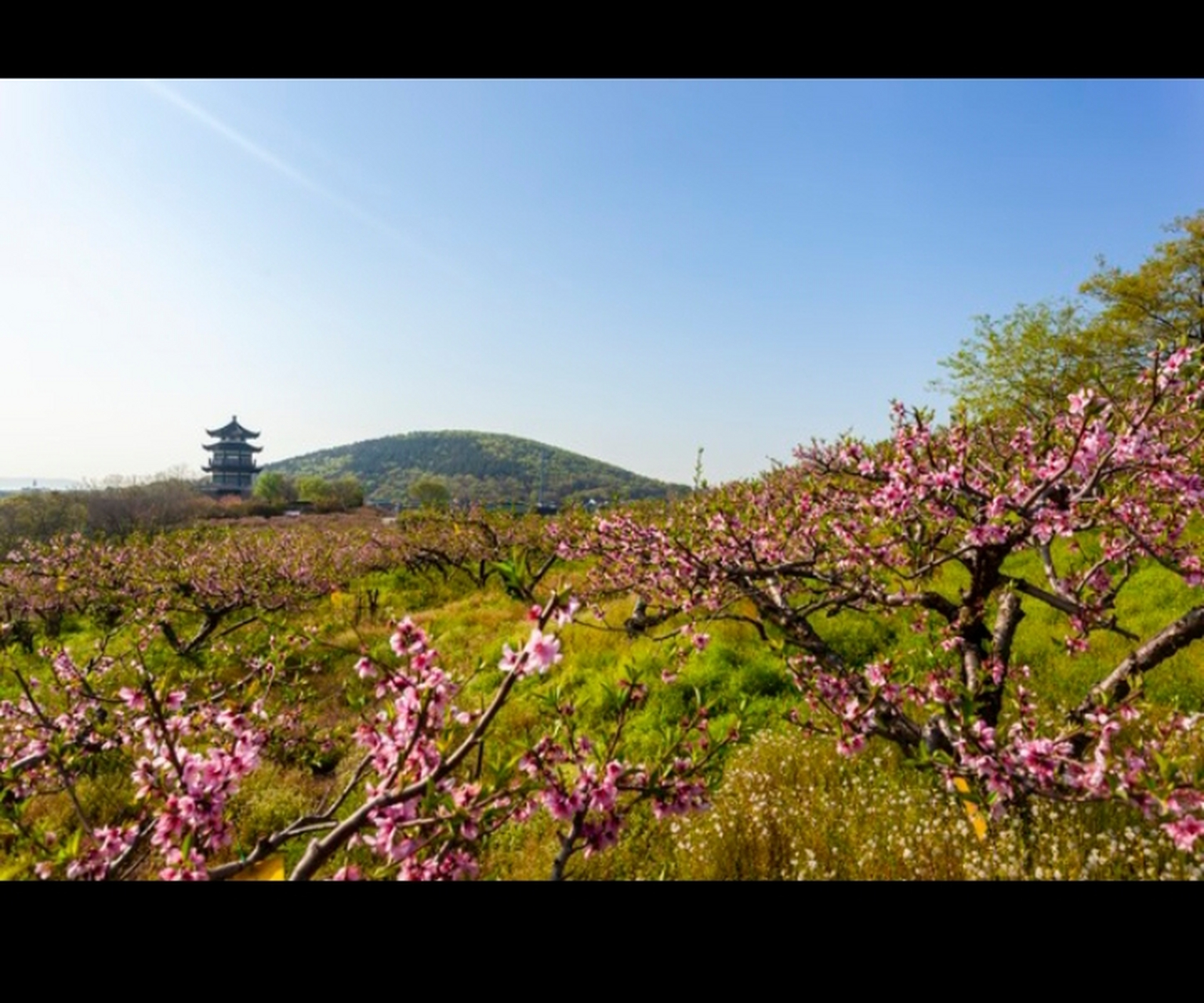 昆明的历史故事79期《昆明桃源广场》#ai共创计划# 昆明桃源广场是