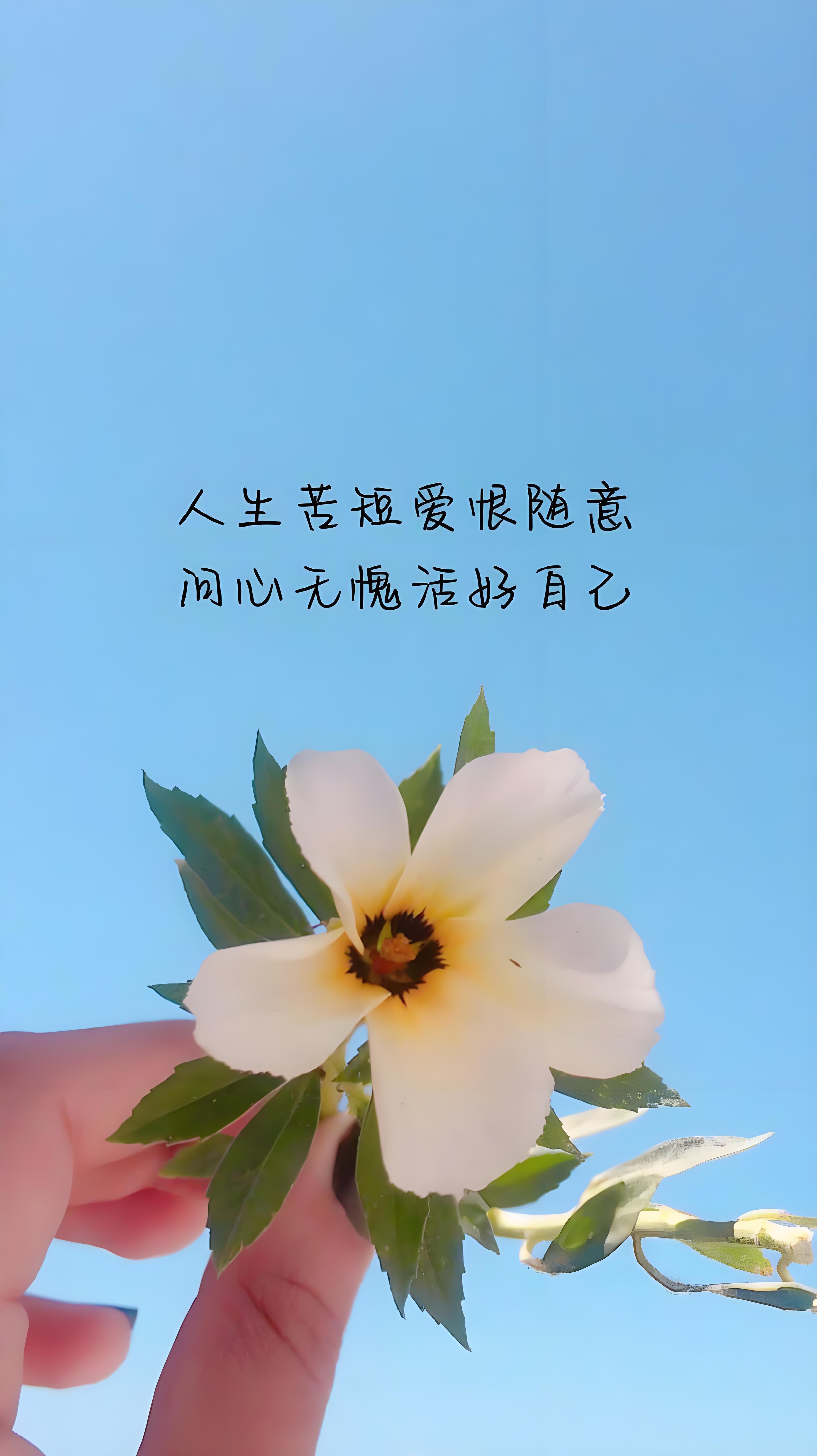 人生苦短,爱恨随意!