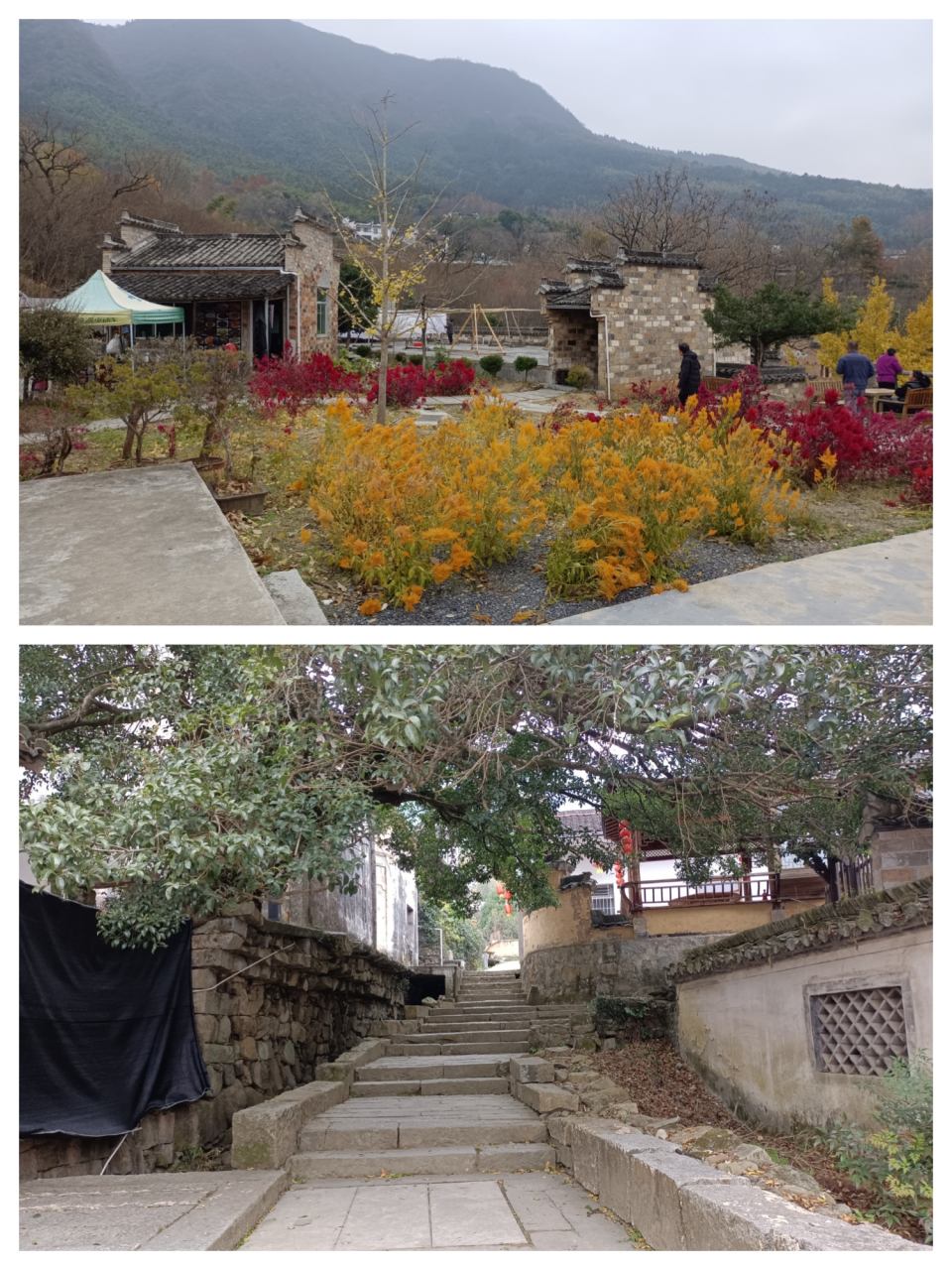 30日于黄山黟县塔川景区