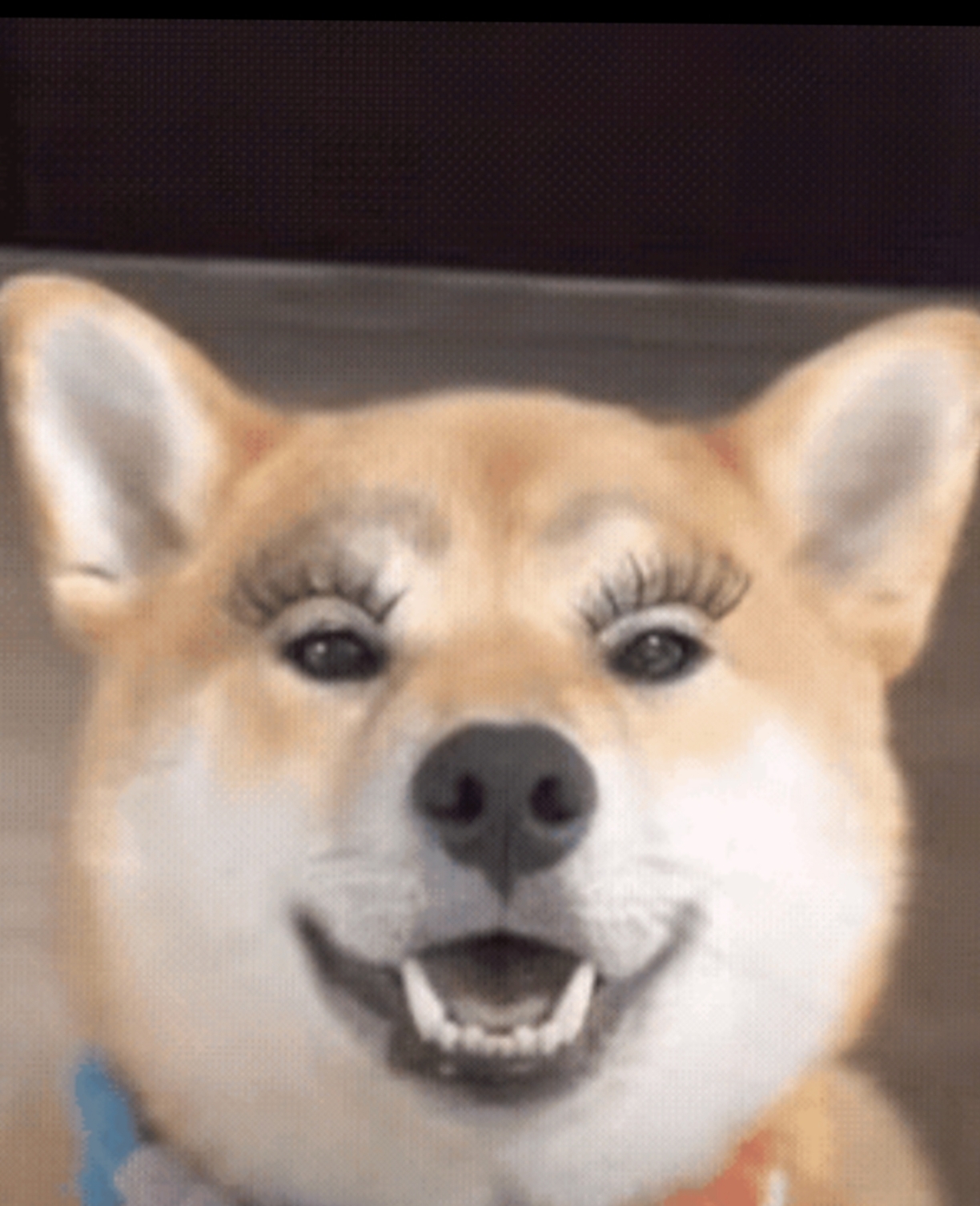 太搞笑了.