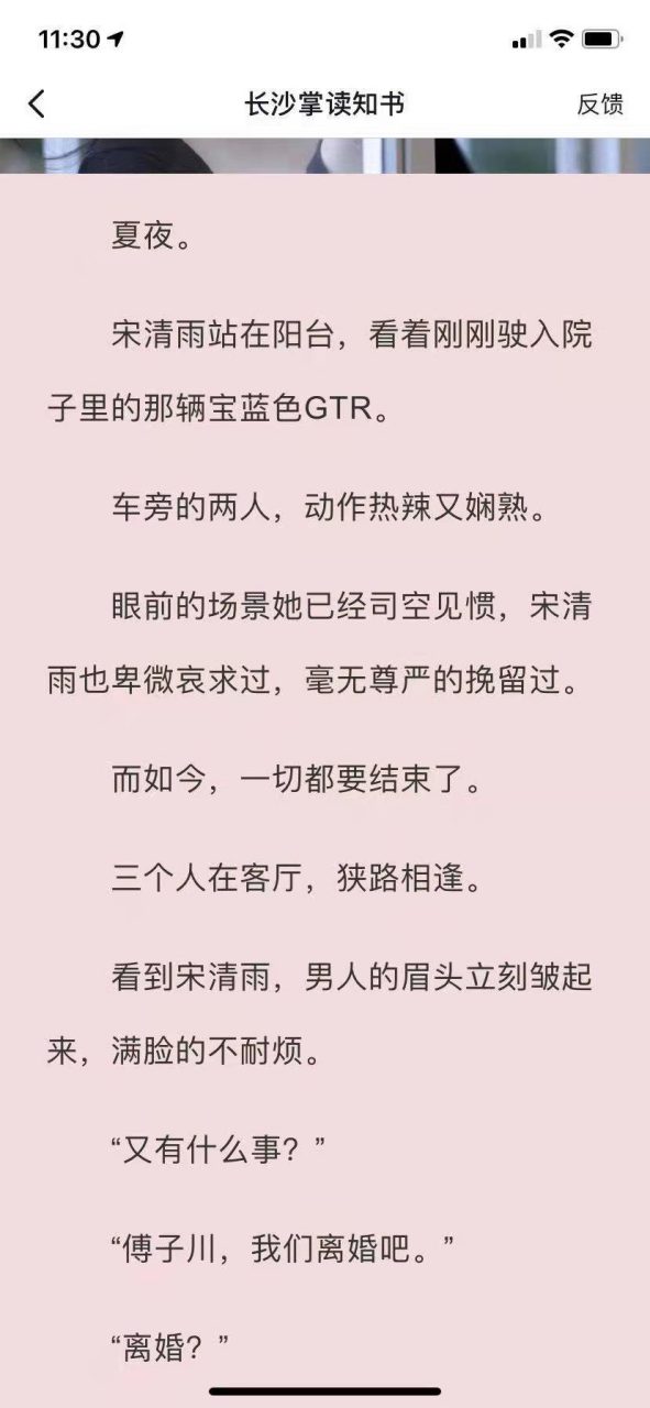 【完整版】《宋清雨傅正南》又名《宋清雨-傅正南傅汐川》宋清雨傅