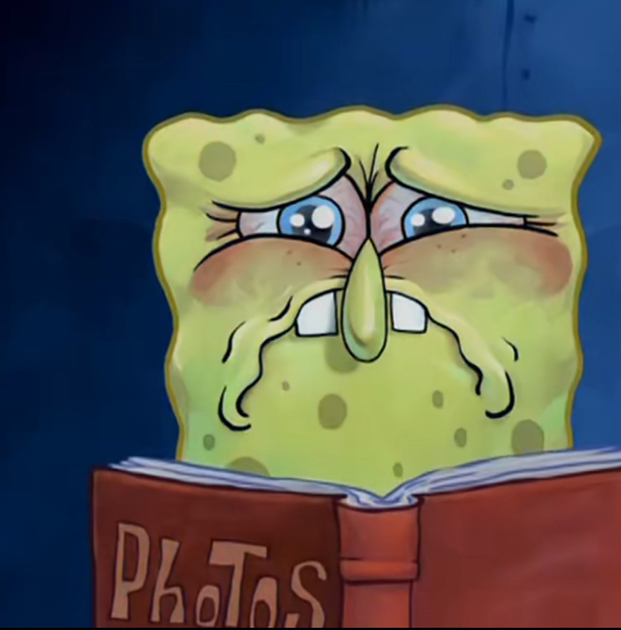 如果海绵宝宝没有小窝