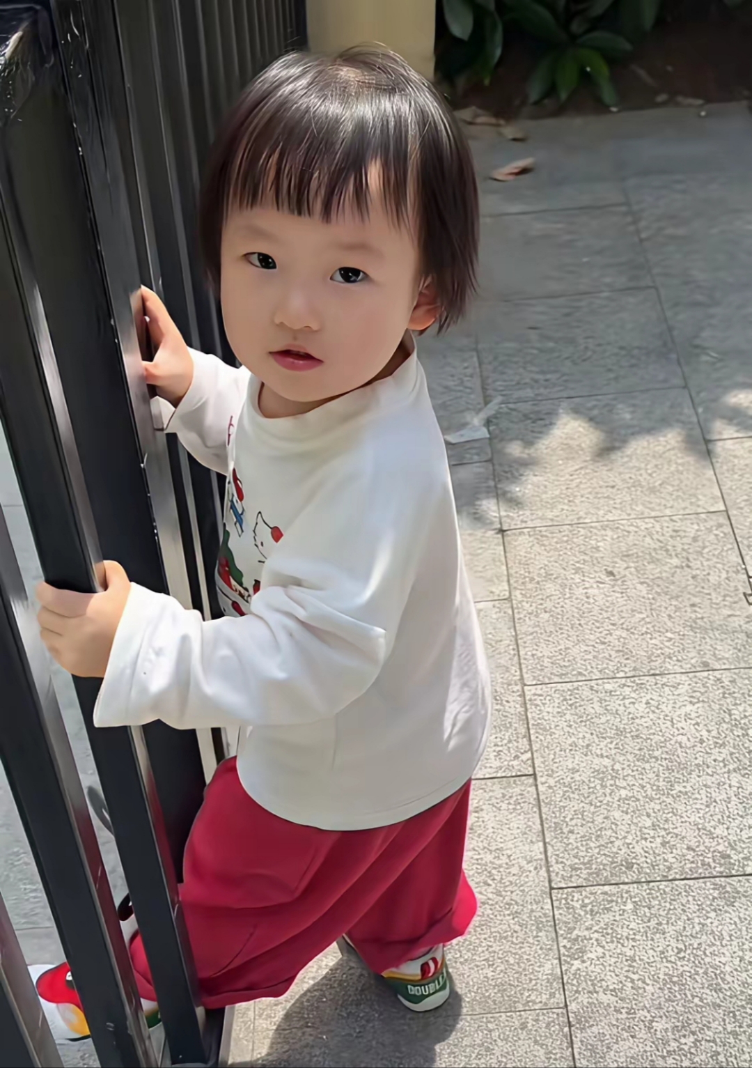 黄一鸣把女儿闪闪越养越好啦小时候的闪闪头发炸毛很明显现在小闪闪