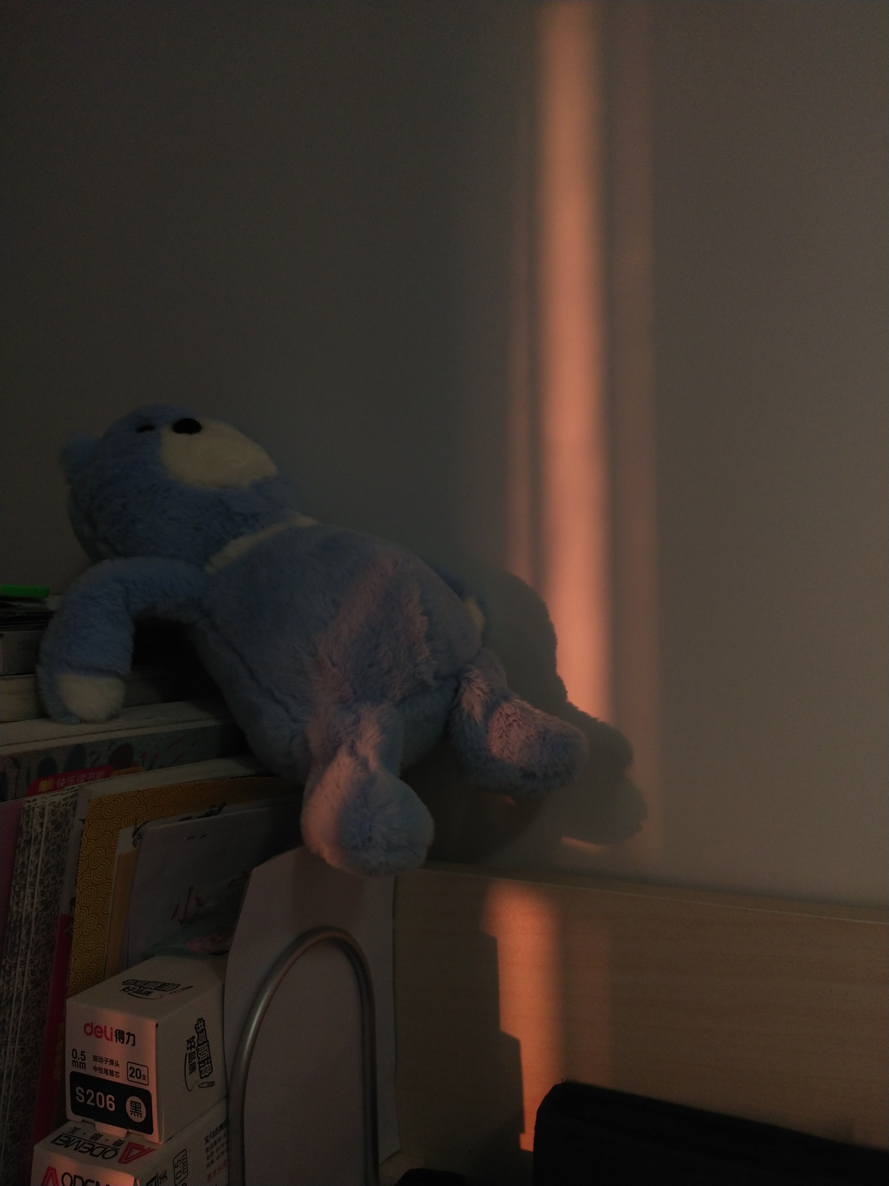 喝醉酒的小熊熊,在夕阳下,格外美丽!