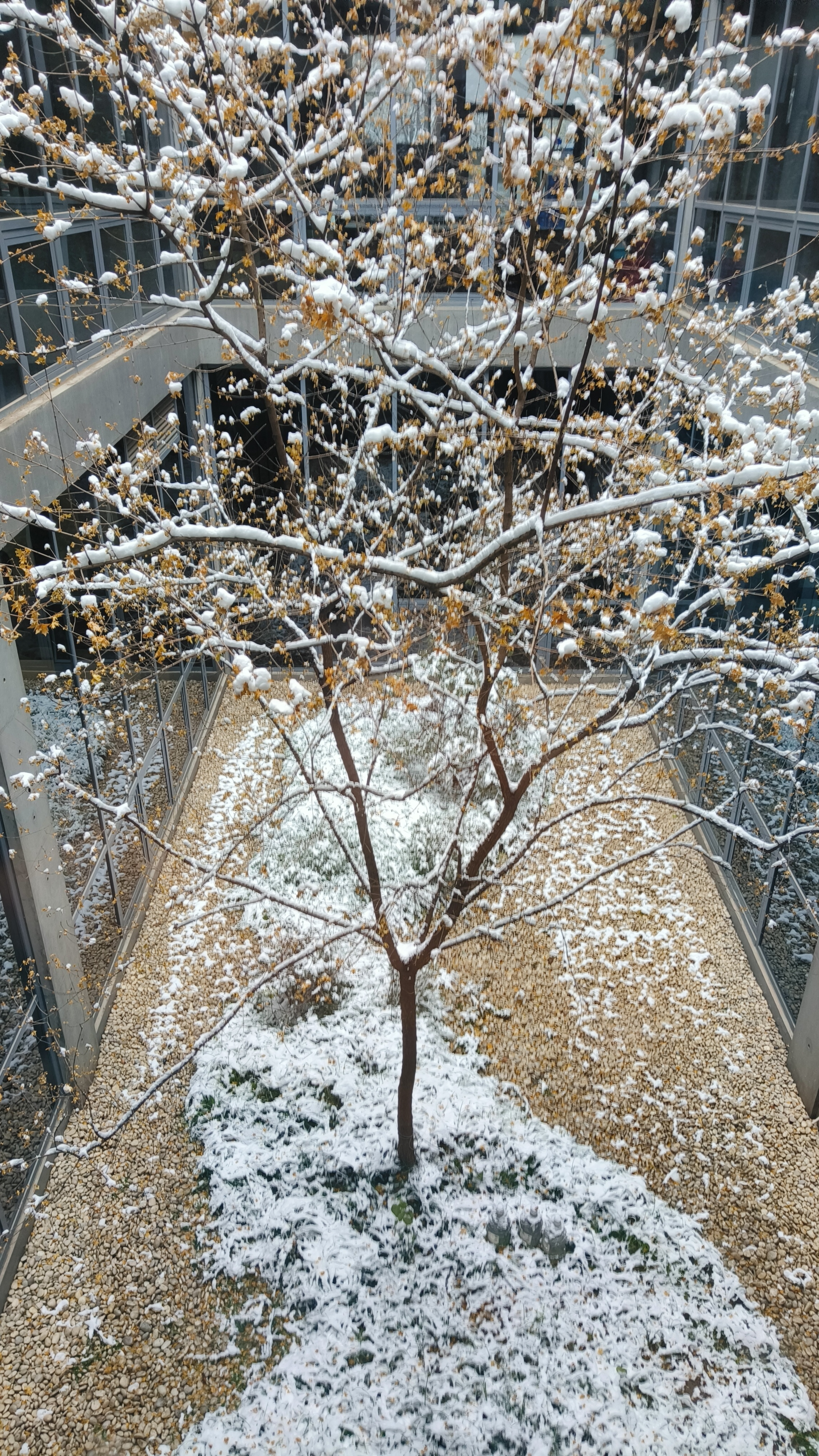 你的城市下雪