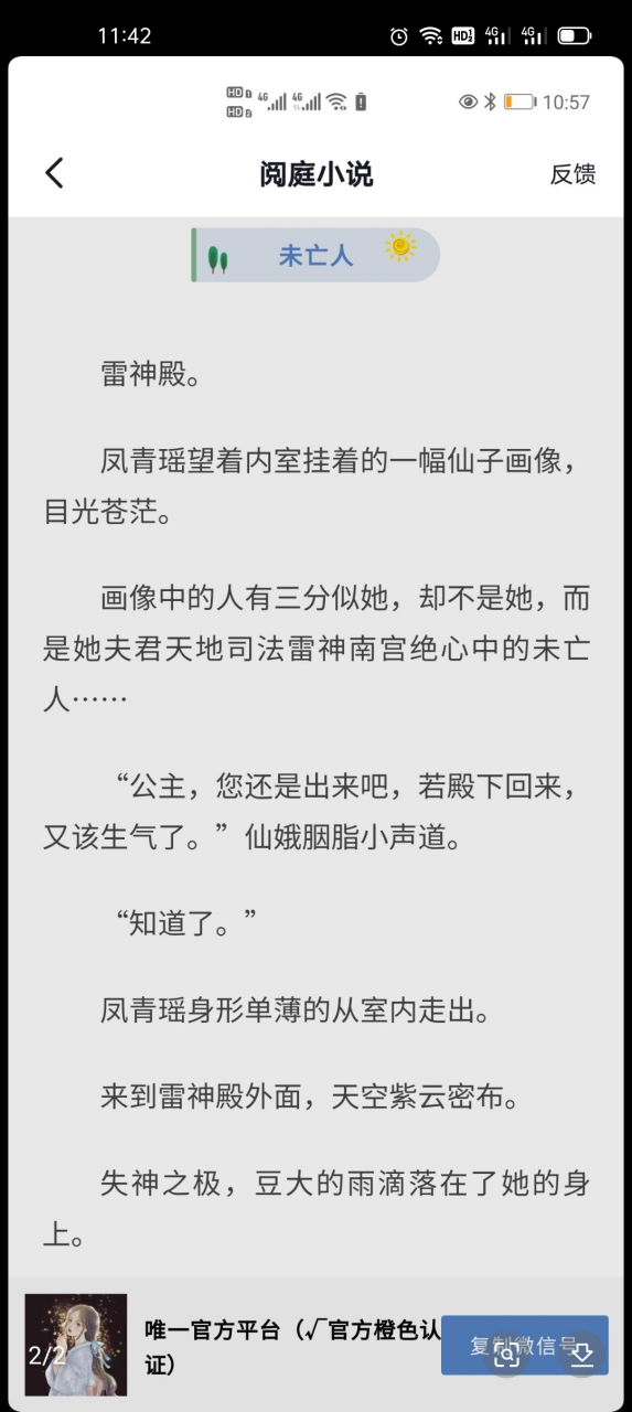 抖音完整版《凤青瑶南宫绝》又名《凤族公主/雷神》全部文在线完结