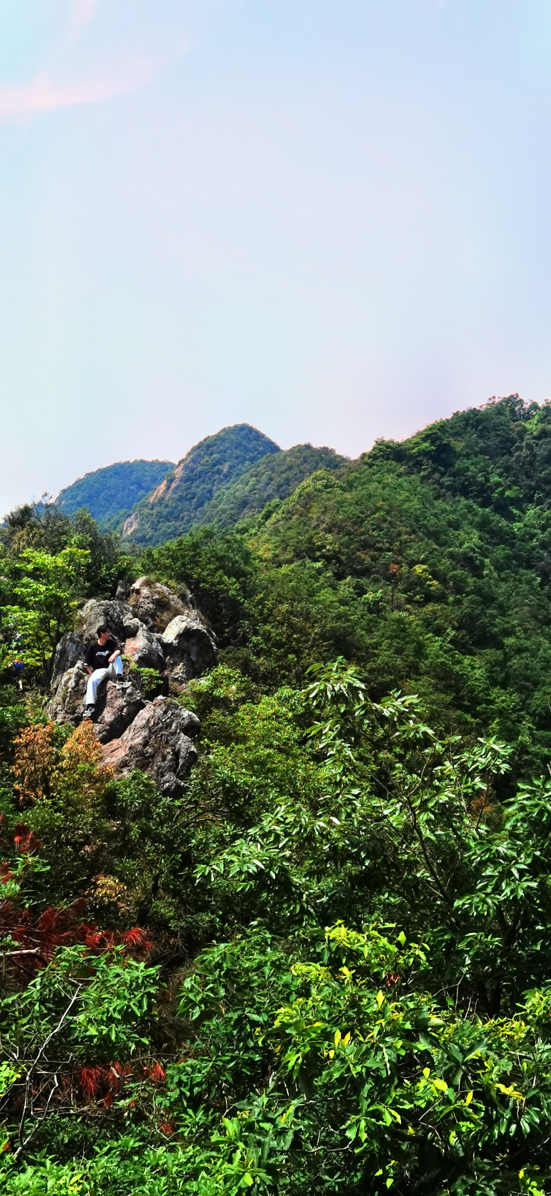 杭州午潮山图片