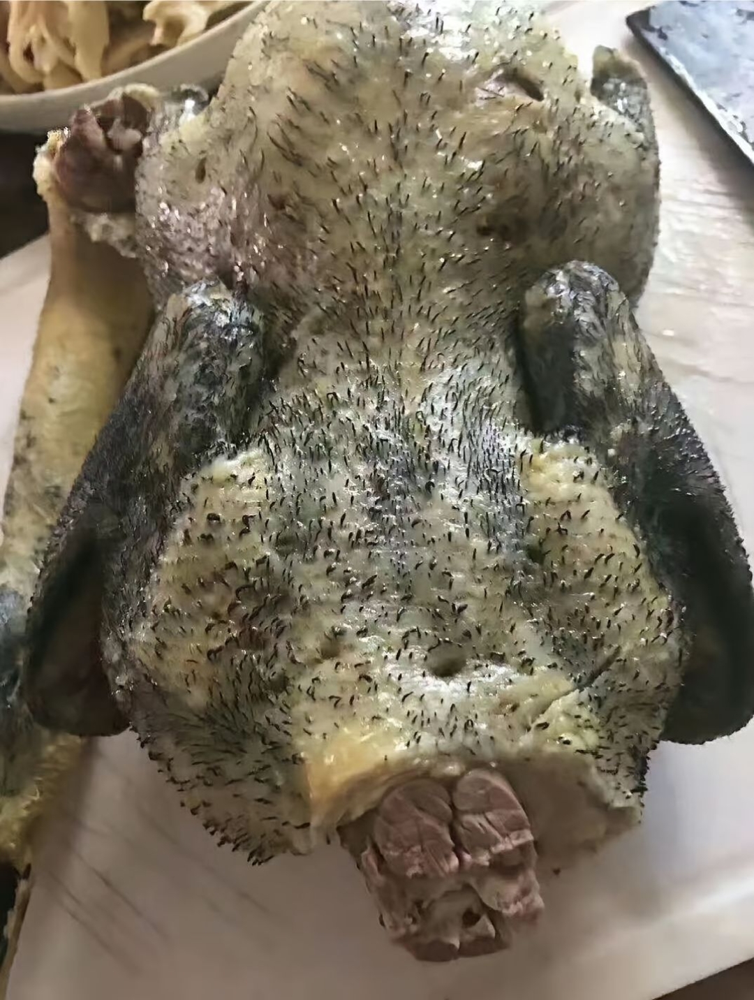 这周趁着有空,我和老公回老家吃饭,婆婆在家张罗了