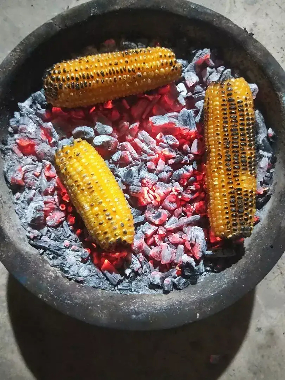 农村人的生活,你若不嫌弃,来我家烧玉米给你吃