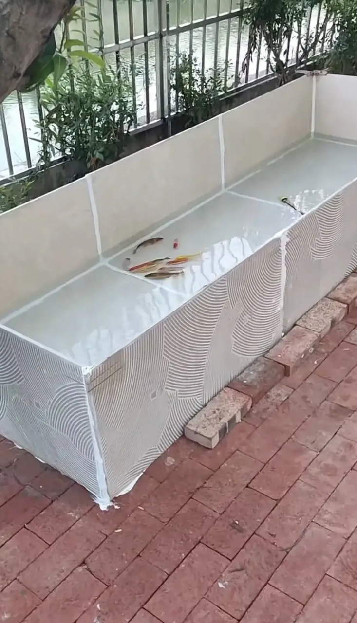 用瓷砖做的鱼缸,还别说挺不错的,,又能省一笔买鱼缸的费用,这样做的