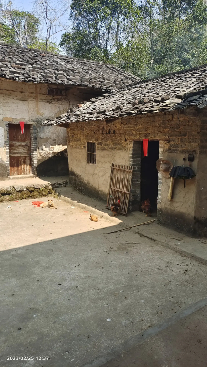 农村的泥砖瓦房子,是爸爸妈妈年轻时一瓦的盖起来的,旧时候建个房子