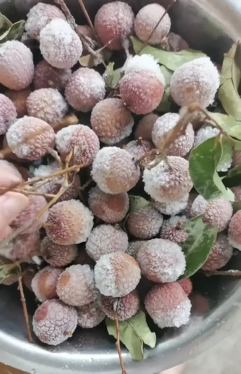冷冻荔枝解冻后还能吃吗?