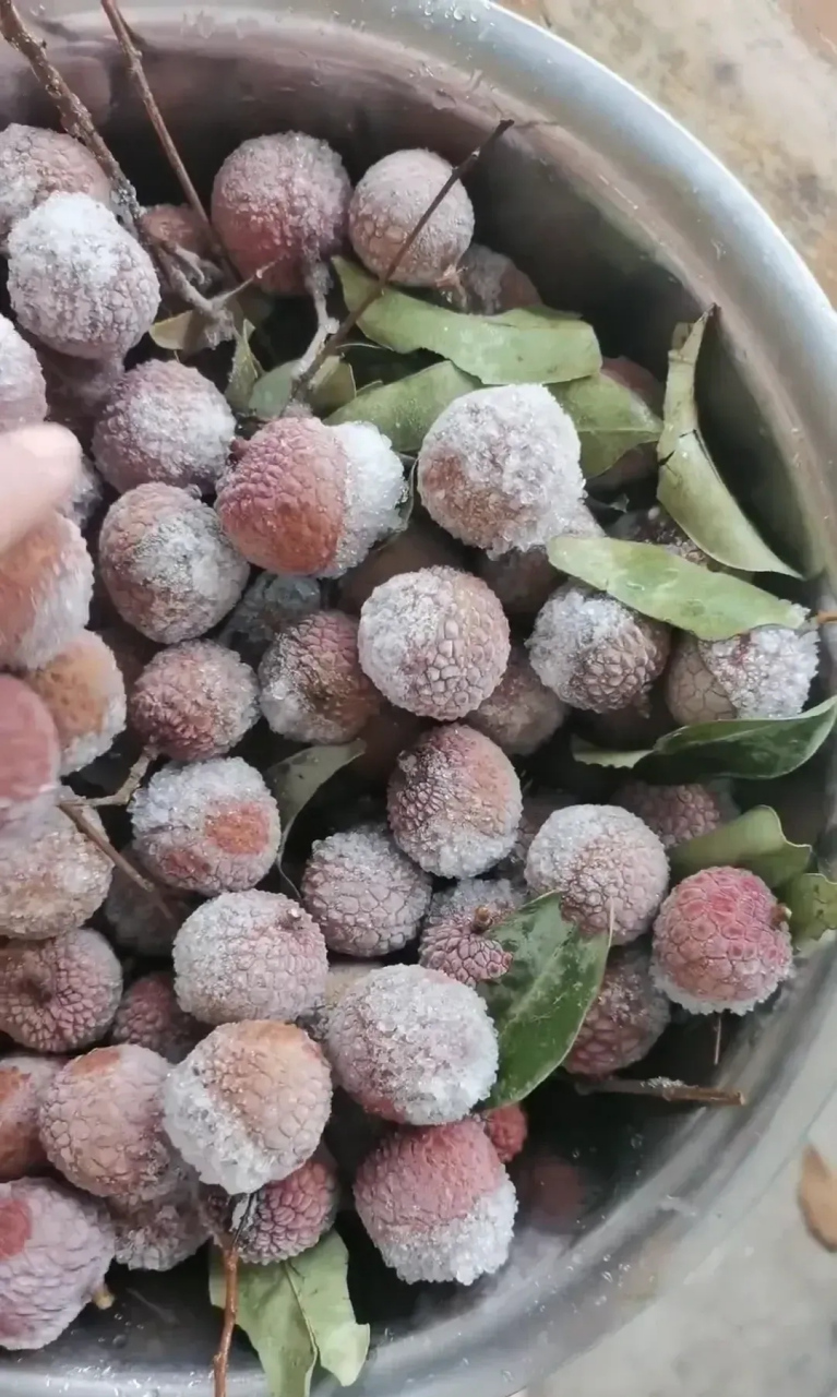 冷冻荔枝解冻后还能吃吗?