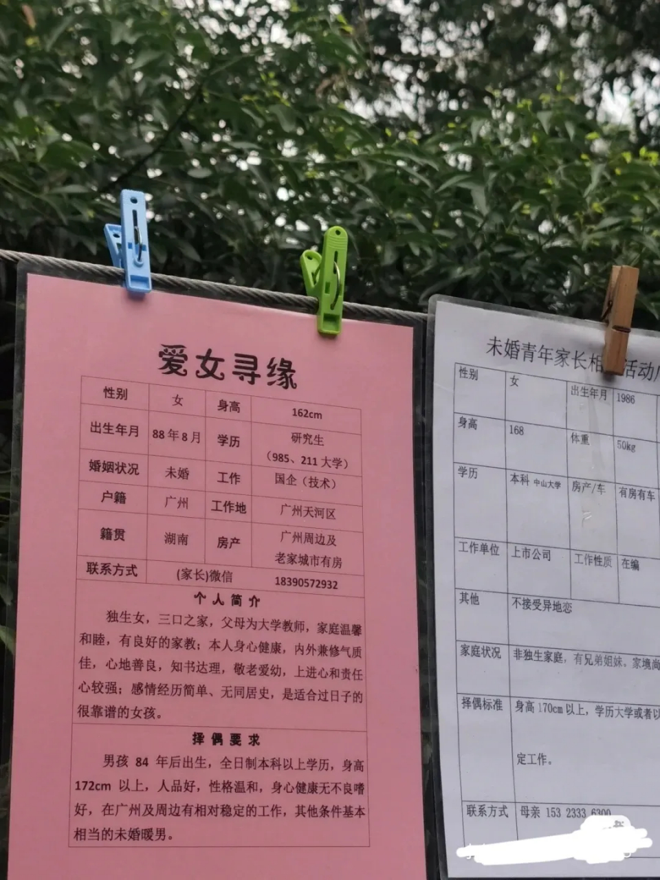 广州天河公园的相亲女性条件,这样的女生到底要找什么条件的男生呢?