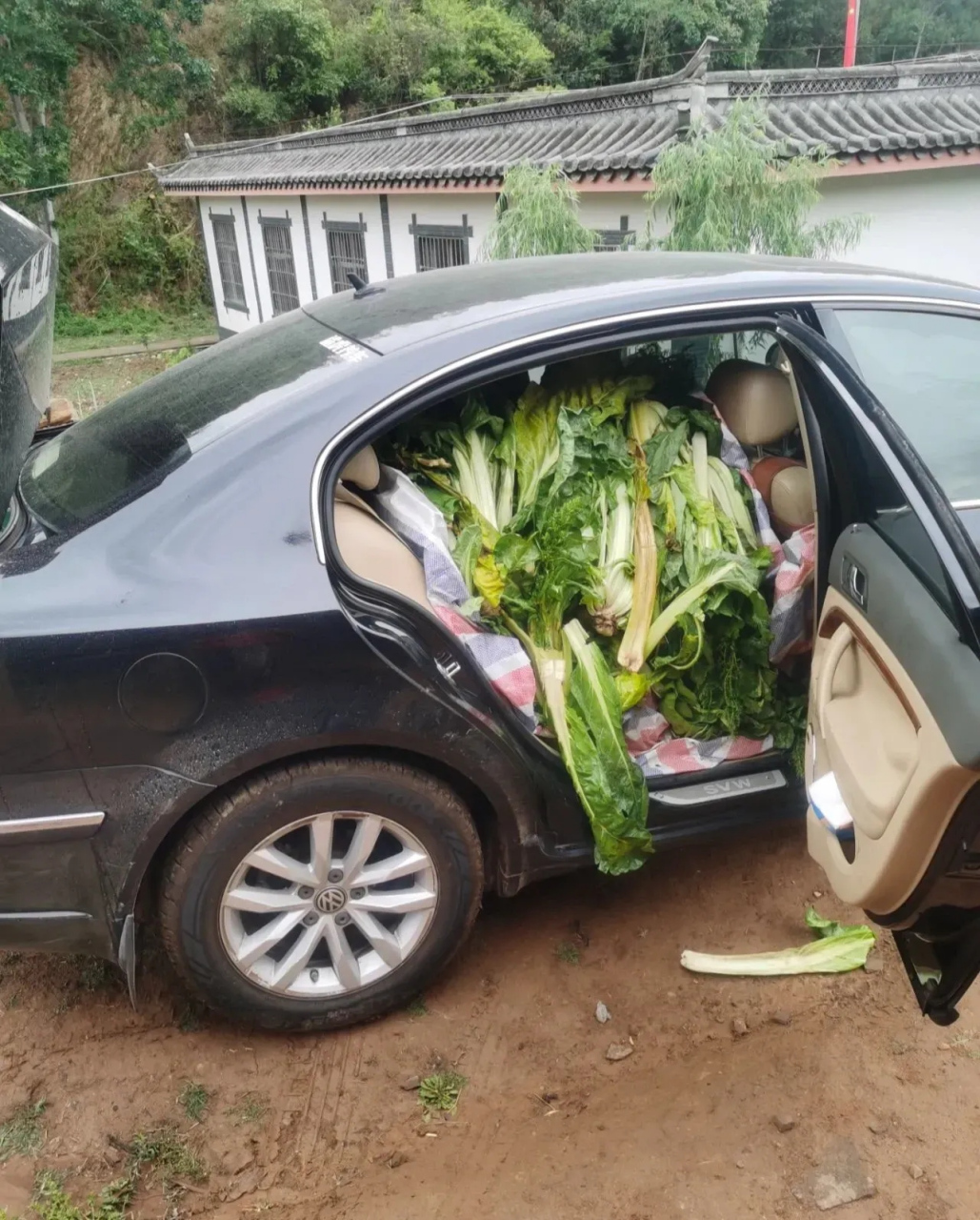 岳父说这车不太行,没有隔壁小王的面包车拉得多