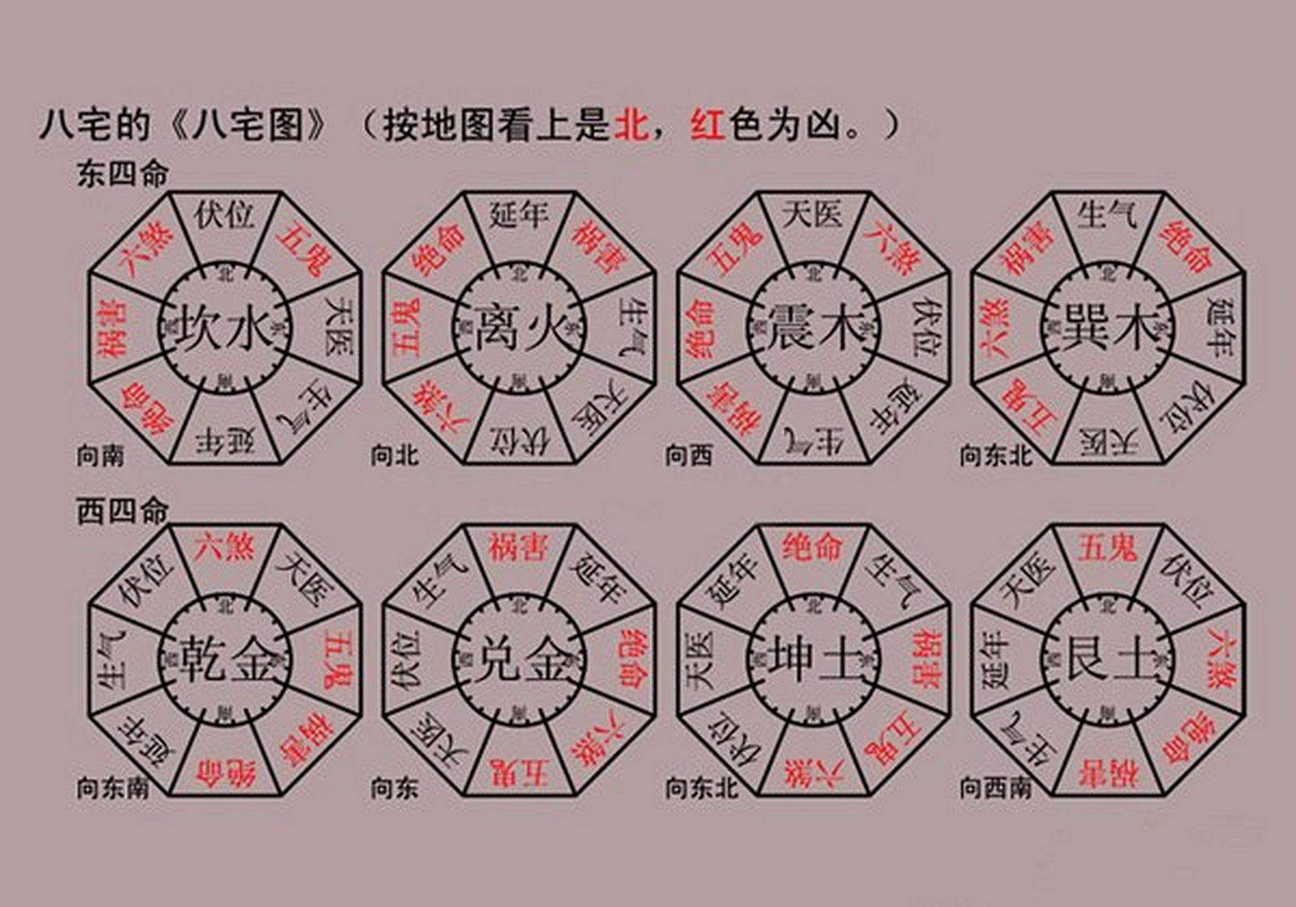 震卦男命图片