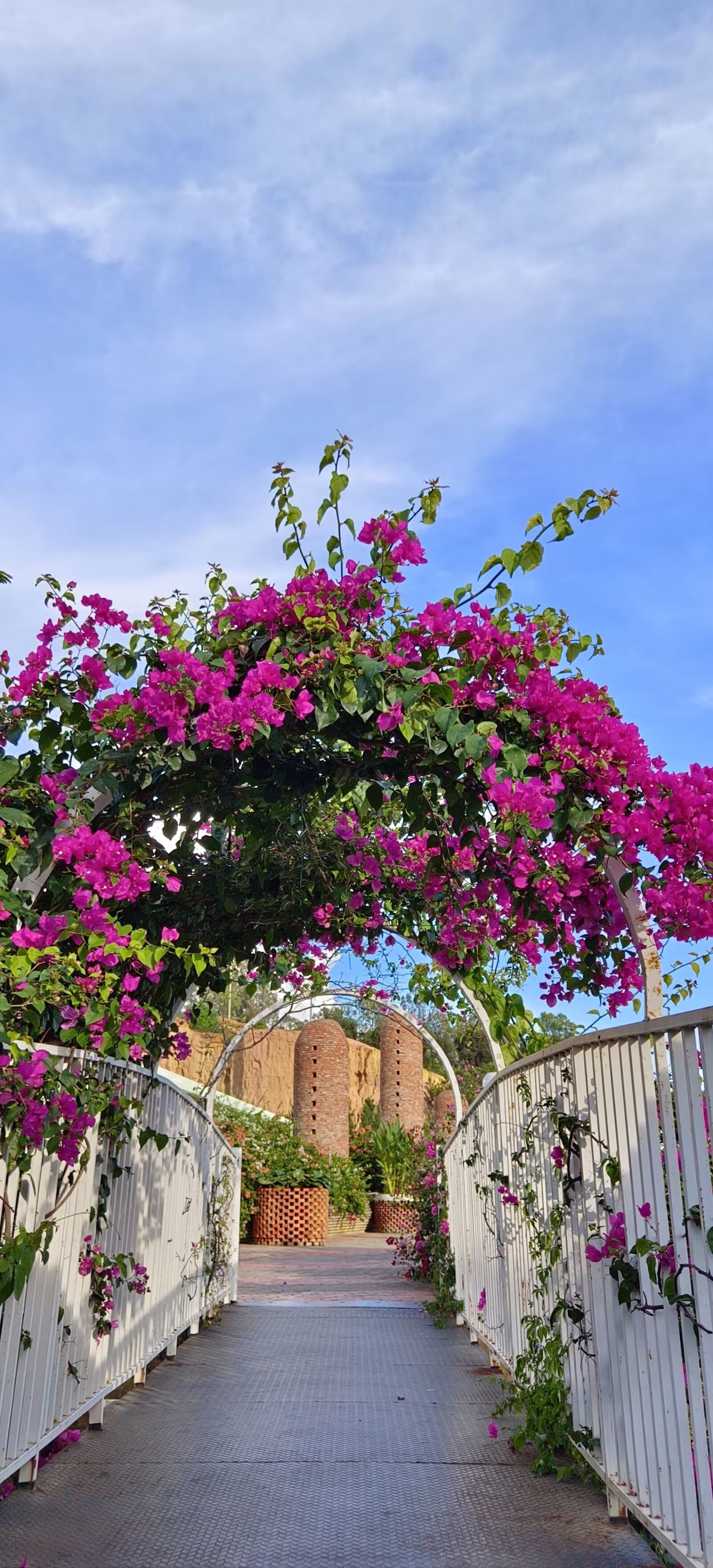 宠辱不惊, 看庭前花开花落, 去留无意, 任天空云卷云舒.