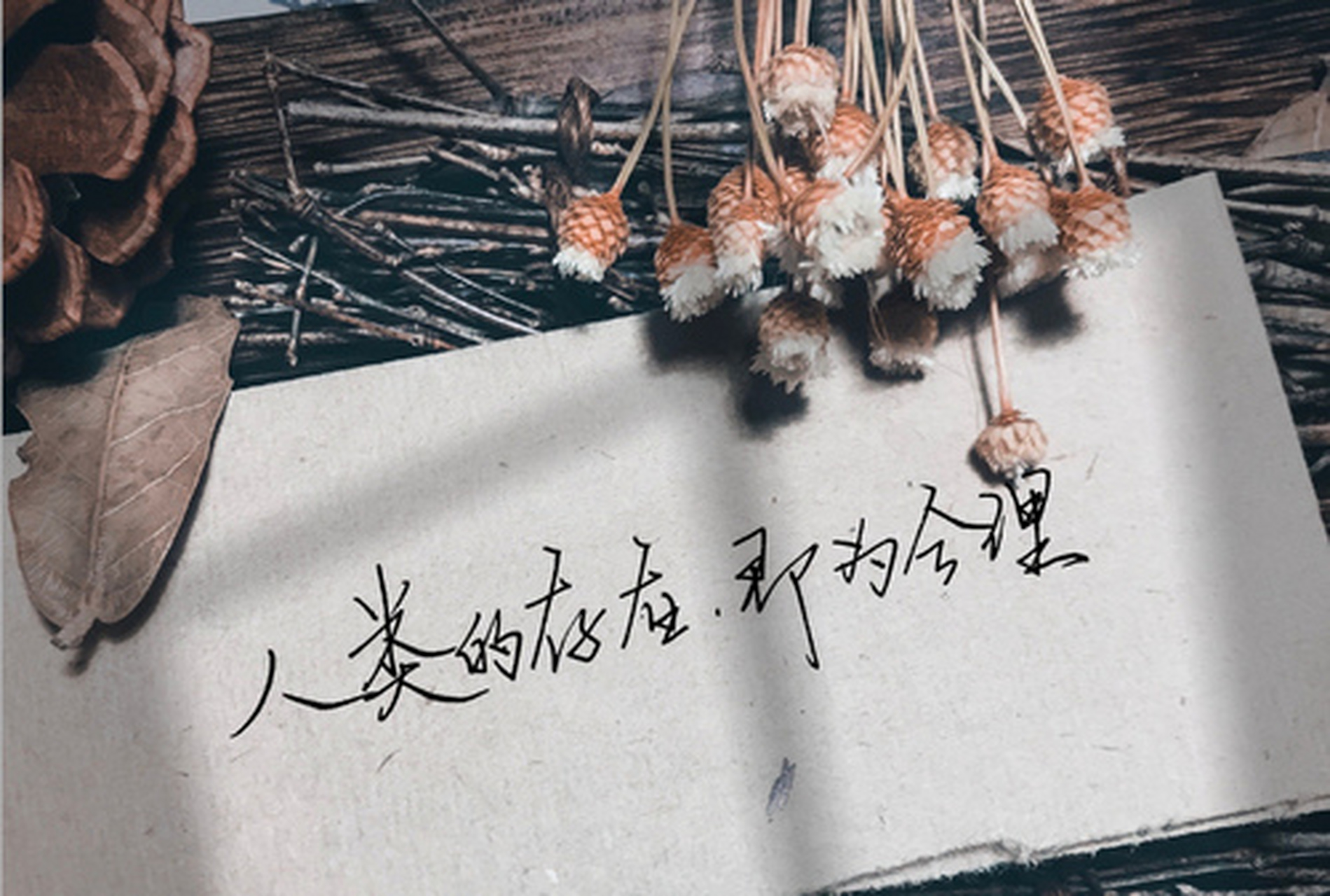 地球上线同人图,图源网络侵权删