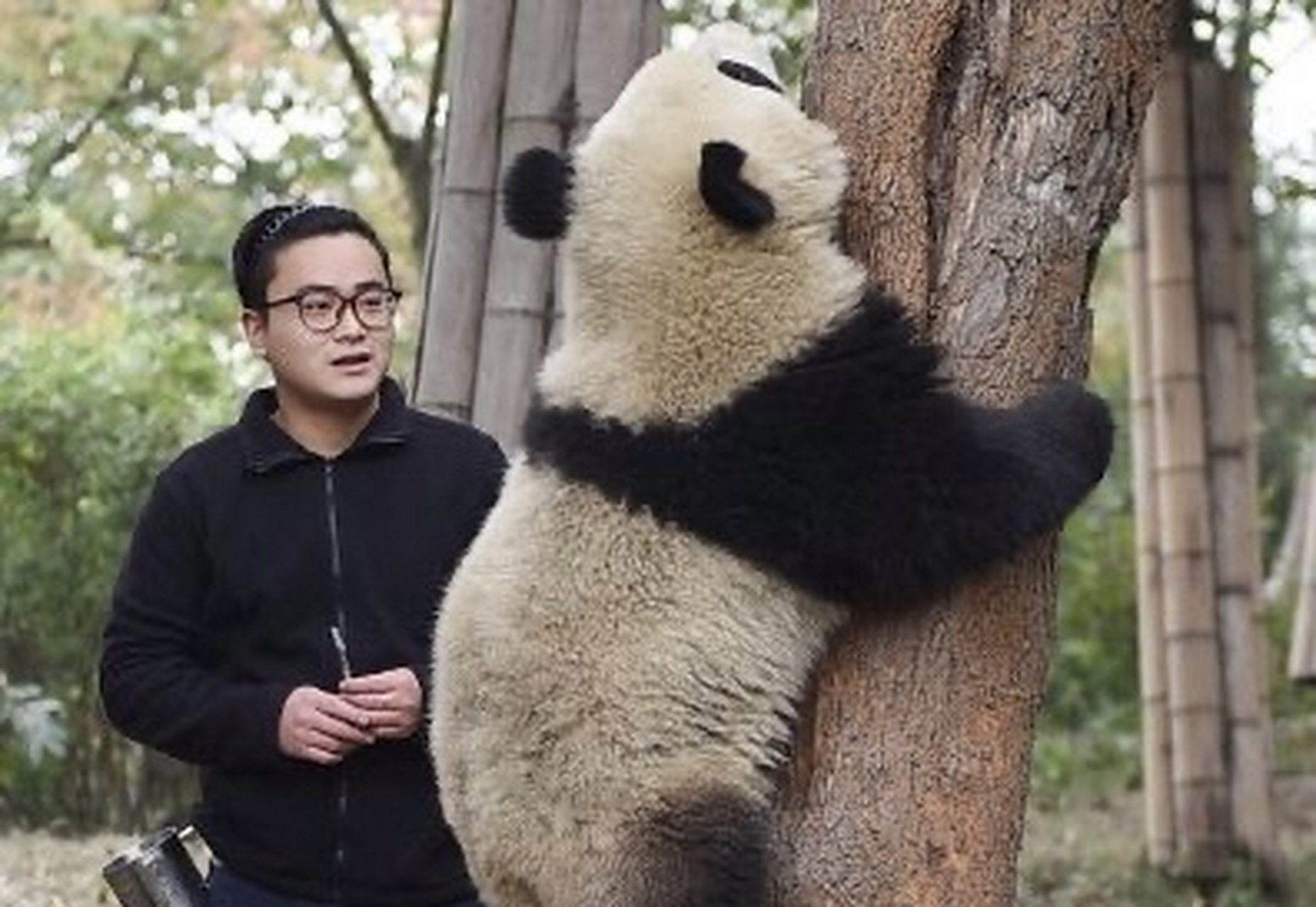 萌兰和发箍奶爸的双向奔赴,么么儿发箍奶爸的好儿子,听说奶爸有时间要