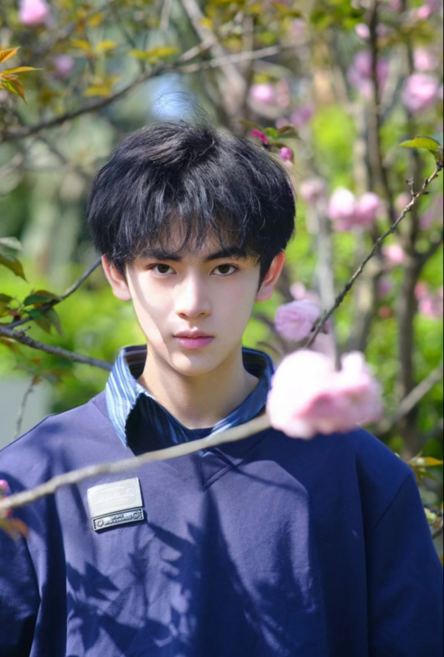 樱花与少年,哇,小哥哥,你简直太帅了,你比樱花还漂