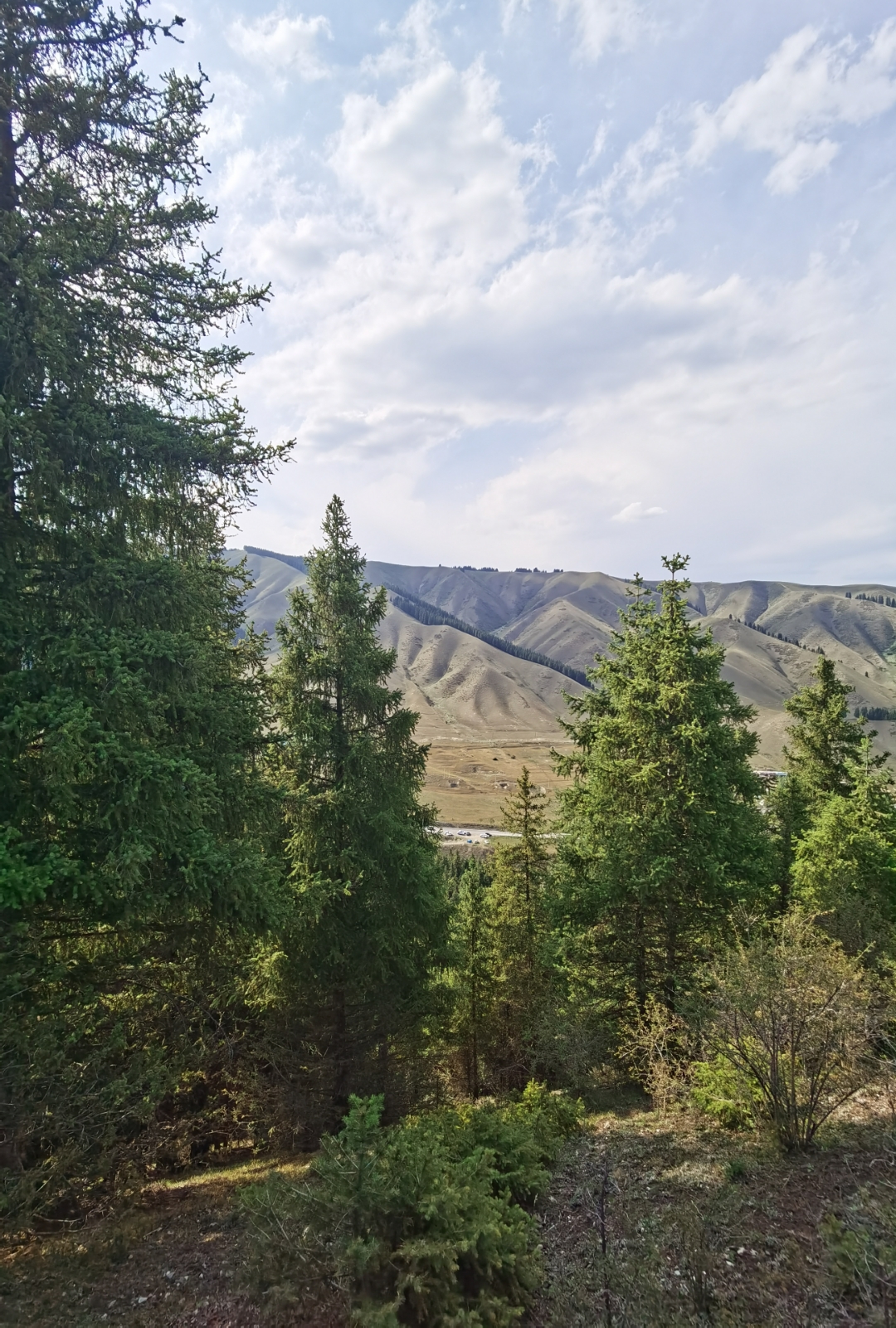 乌鲁木齐南山西白杨沟风景区.