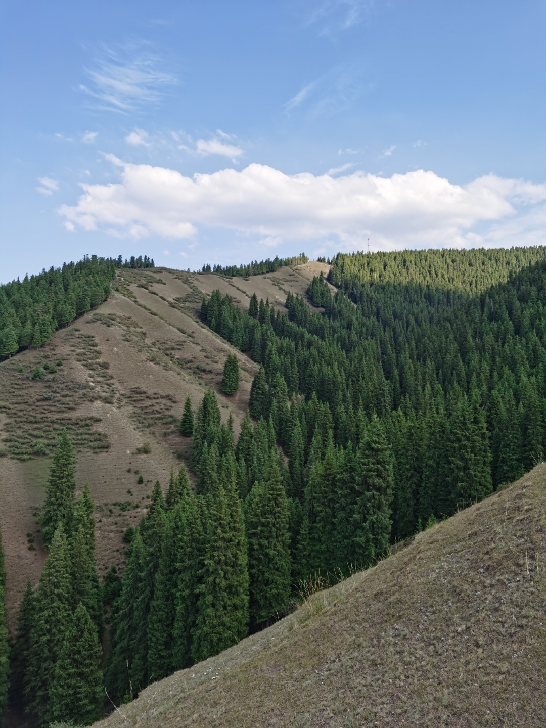 乌鲁木齐南山西白杨沟风景区.