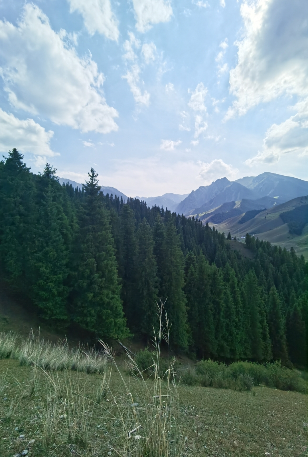 乌鲁木齐南山西白杨沟风景区.