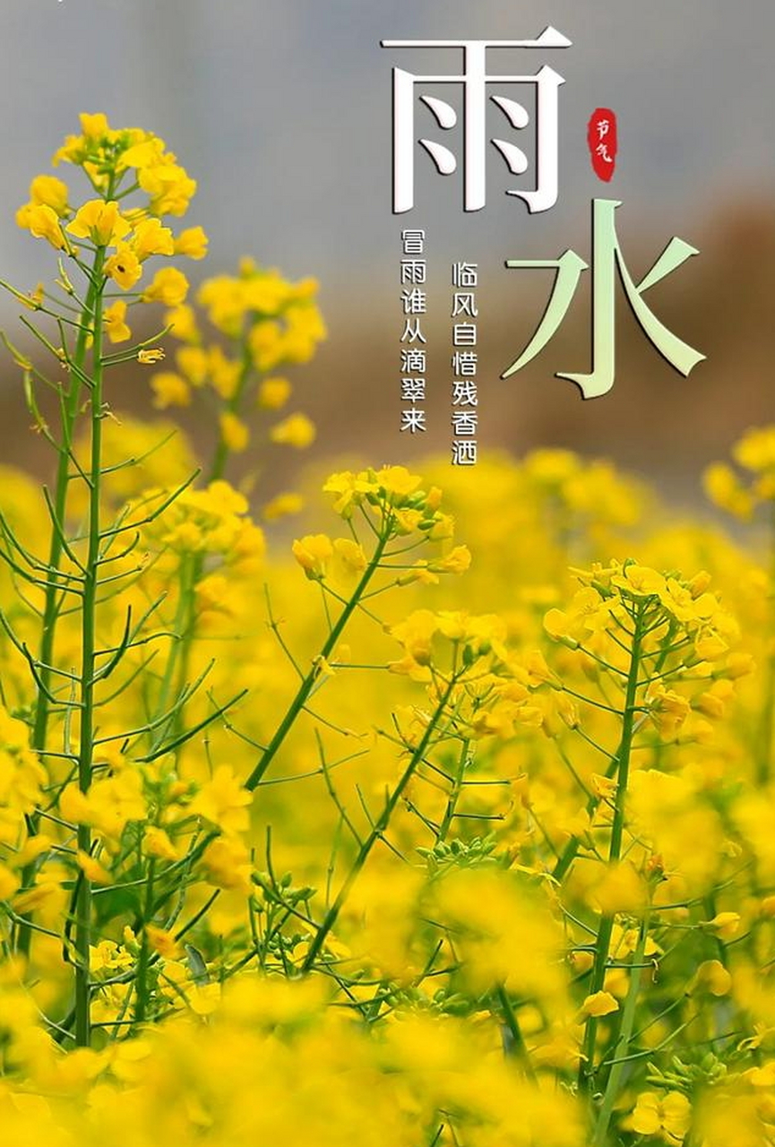 润物无声生机发 , 淅淅沥沥弹琴曲.  #文学#  #和大自然的亲密接触