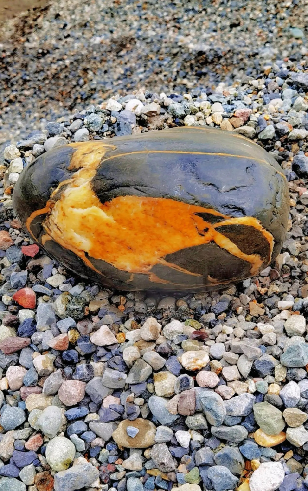 大家快来瞧瞧,这块石头怎么样?简直太美了!