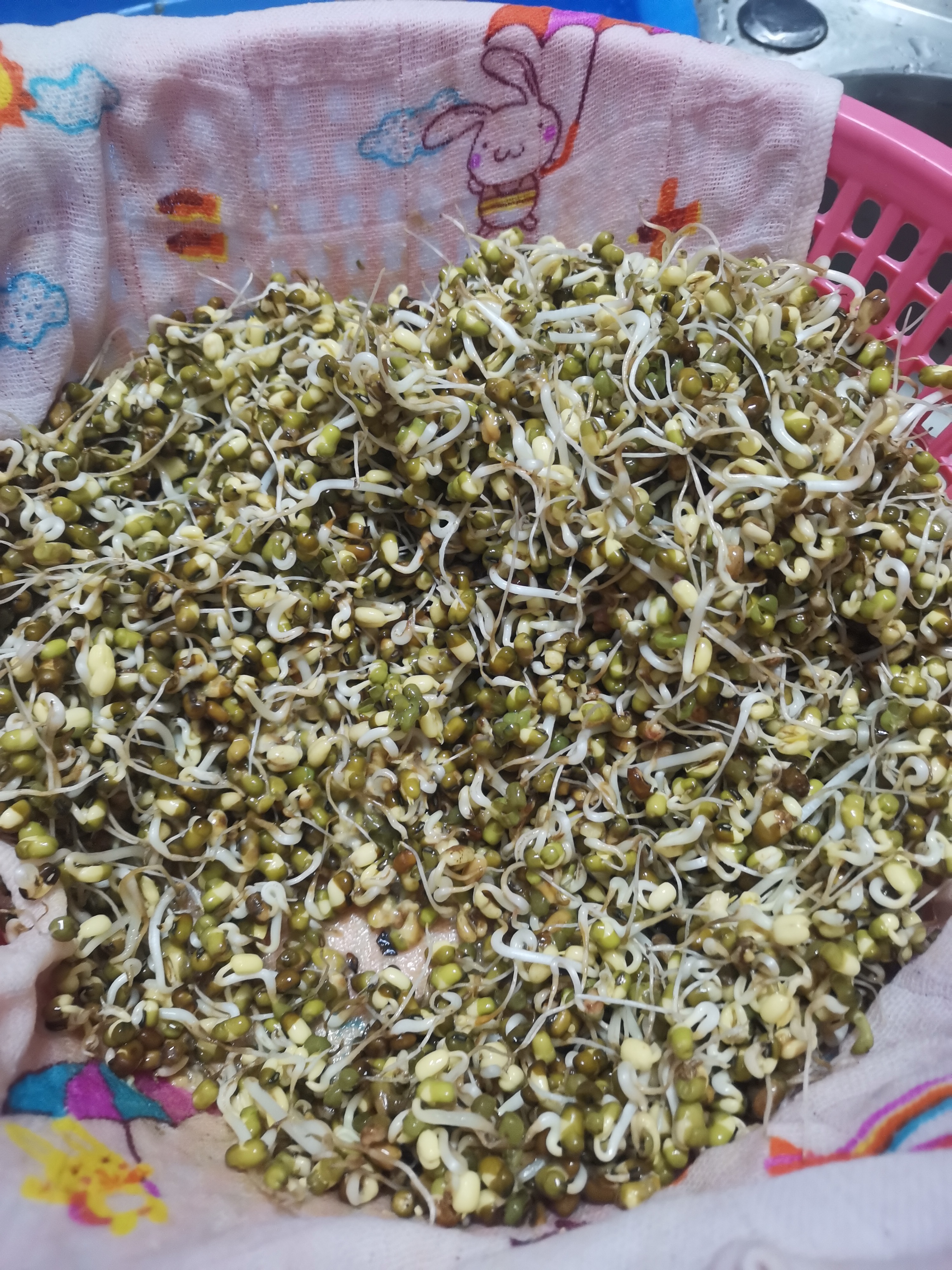 减肥过关攻略# 豆芽是一道美味的菜肴,不管怎样做都好吃,而且它们不