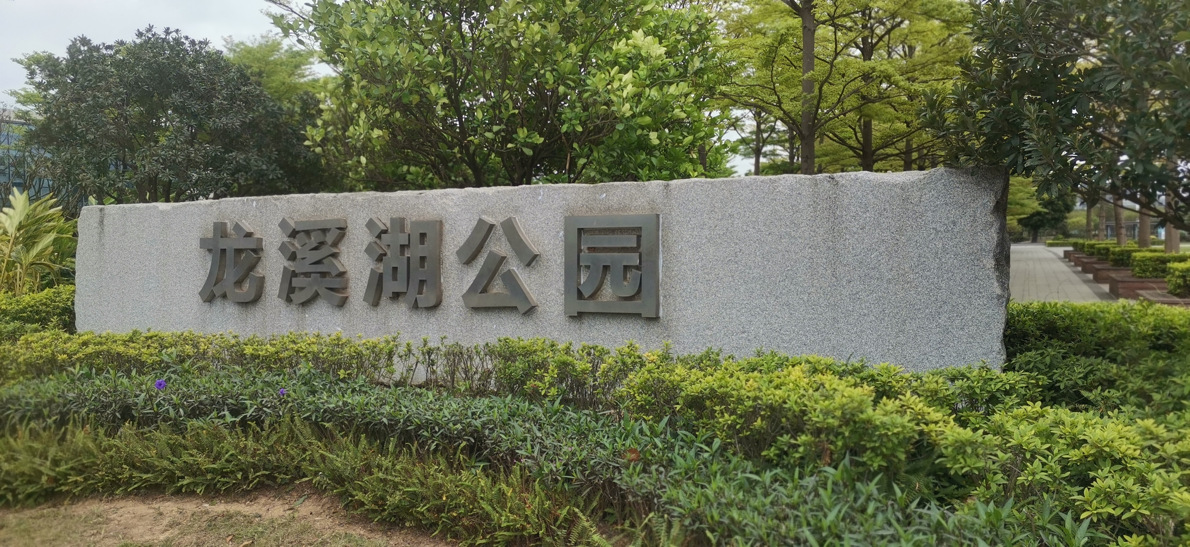 江门龙溪湖公园