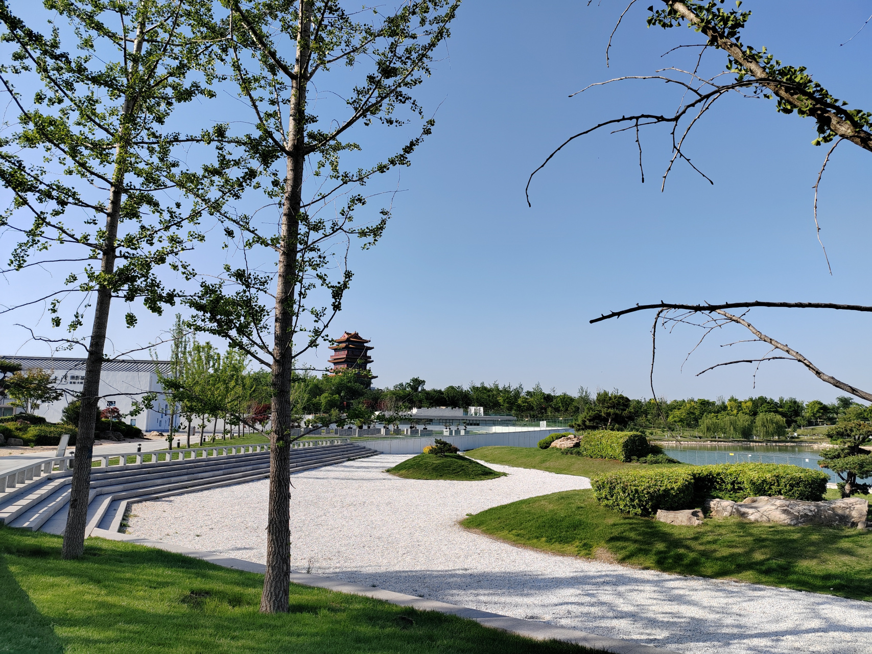 最美周边游# 济宁市任城区凤凰台植物园已经到了最美的季节!