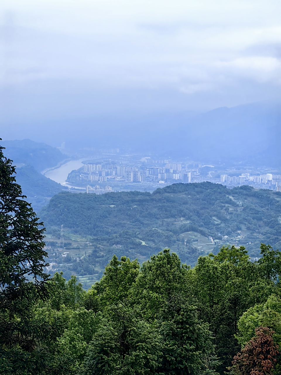 四川雅安蒙顶山.