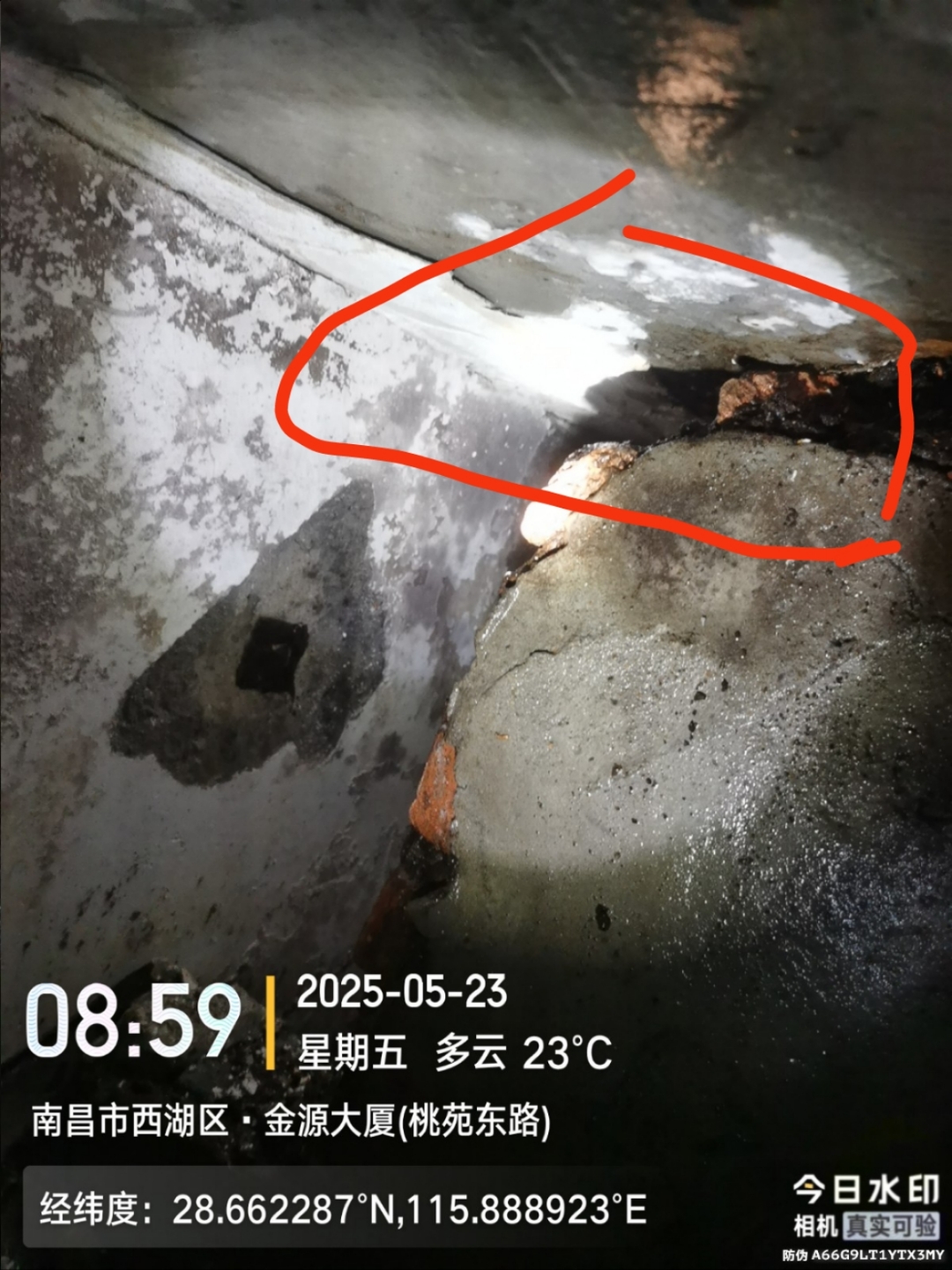 南昌除白蚁