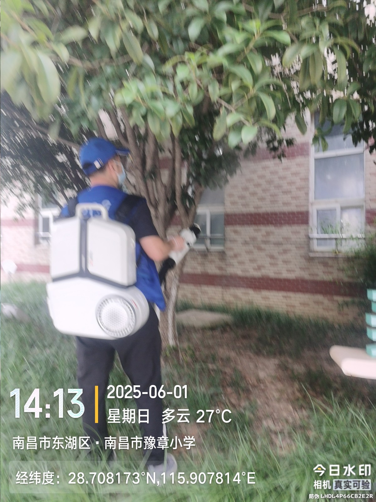 南昌上门消杀服务蚊蝇消杀老鼠白蚁电话预约15979003571
