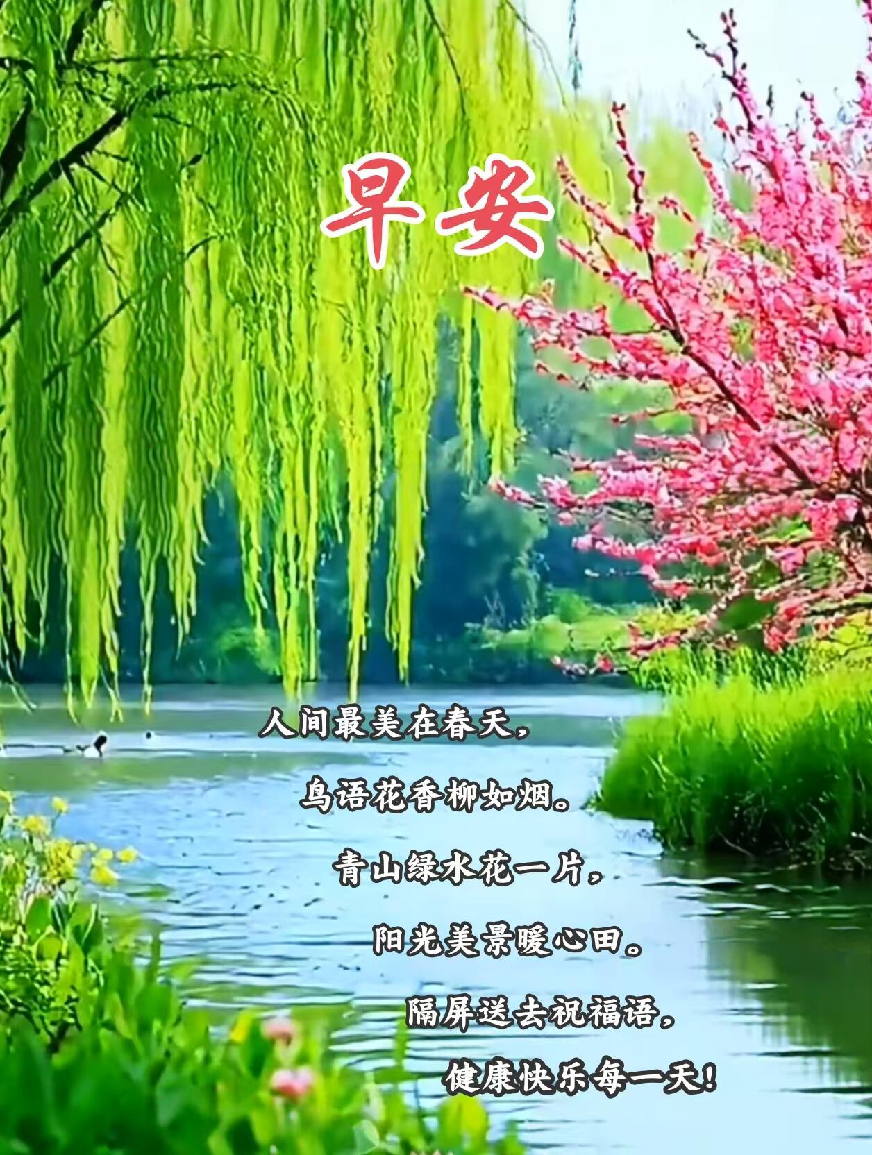 人间最美在春天, 鸟语花香柳如烟, 青山绿水花一